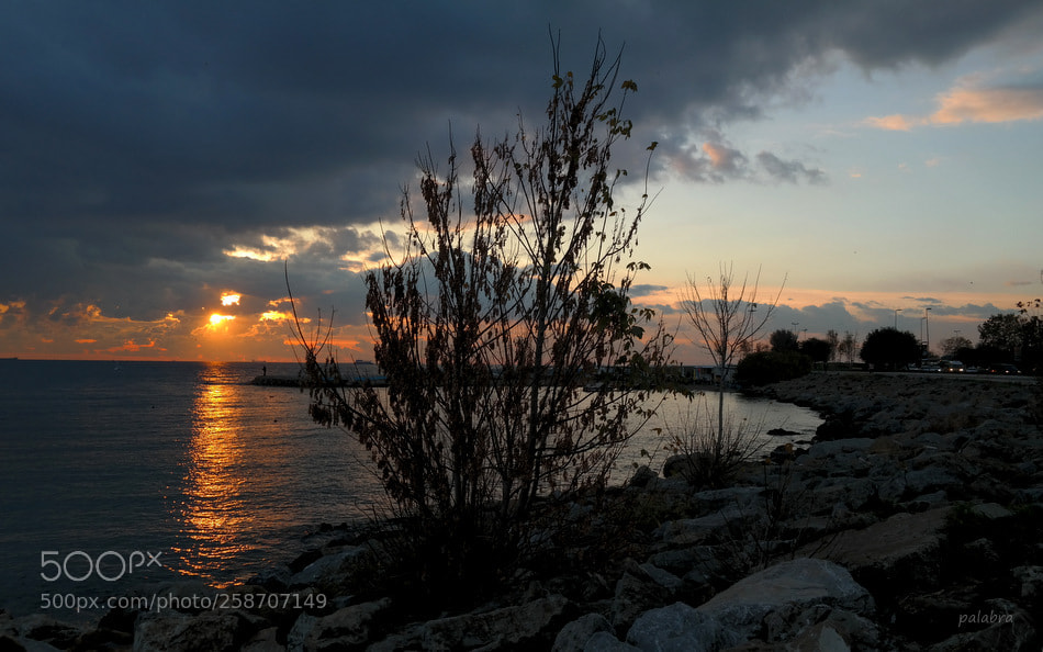 Samsung NX300 sample photo. ... photography