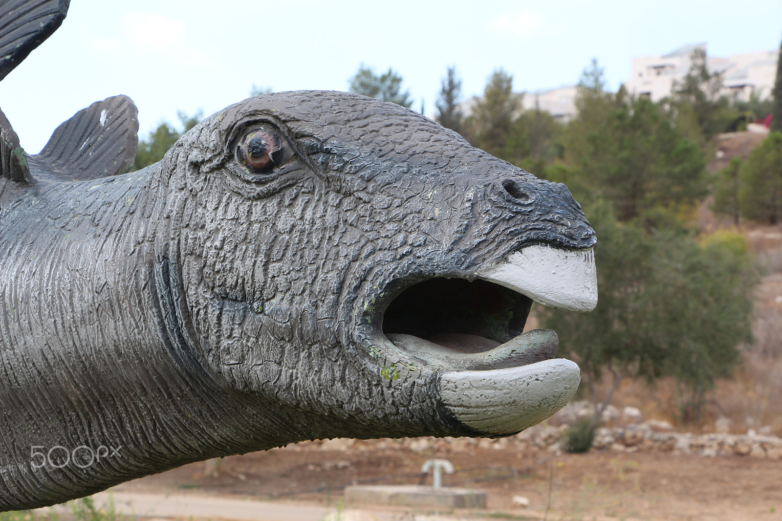 Canon EOS 650D (EOS Rebel T4i / EOS Kiss X6i) + Canon EF-S 18-135mm F3.5-5.6 IS STM sample photo. Dinosaur statue head photography