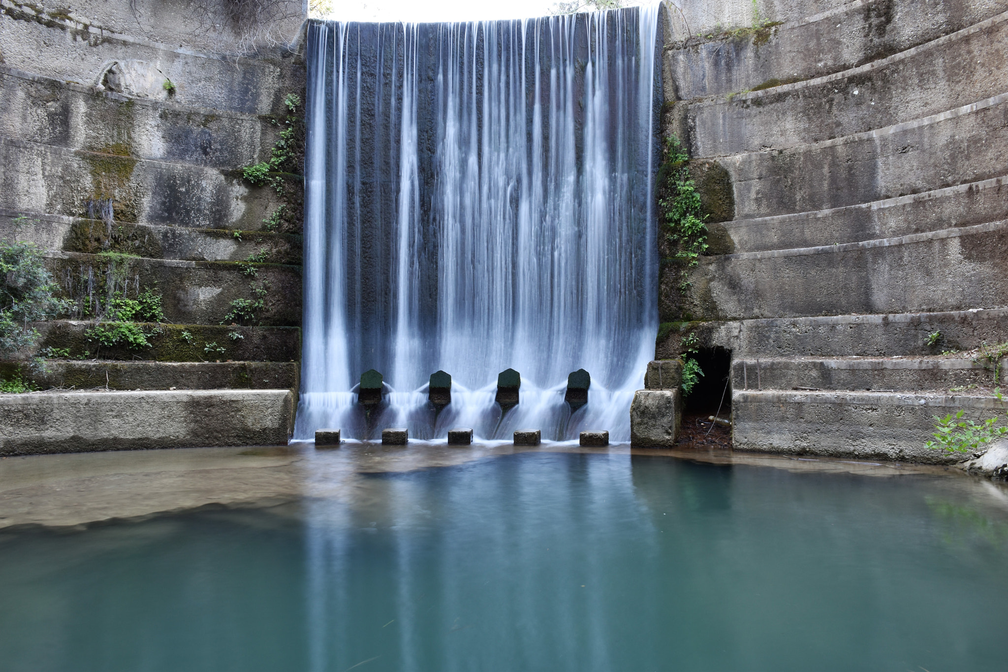 Nikon D5600 sample photo