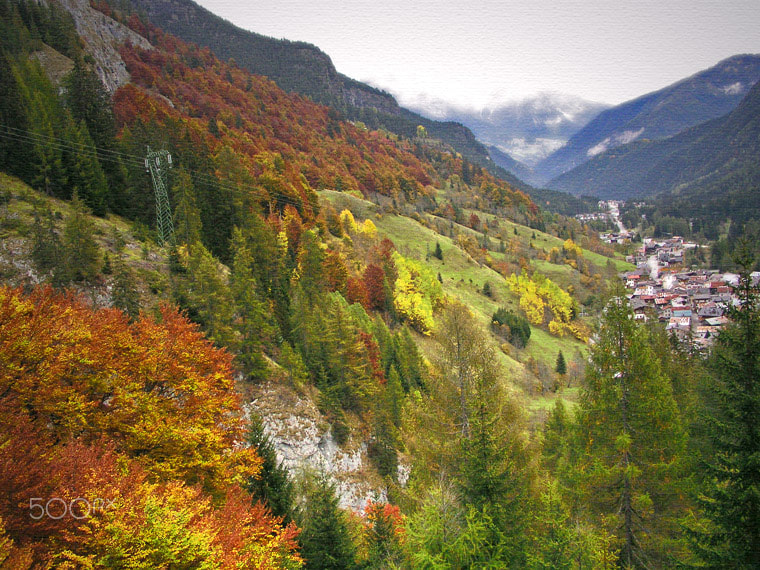 Olympus C5050Z sample photo. Une folie d automne photography