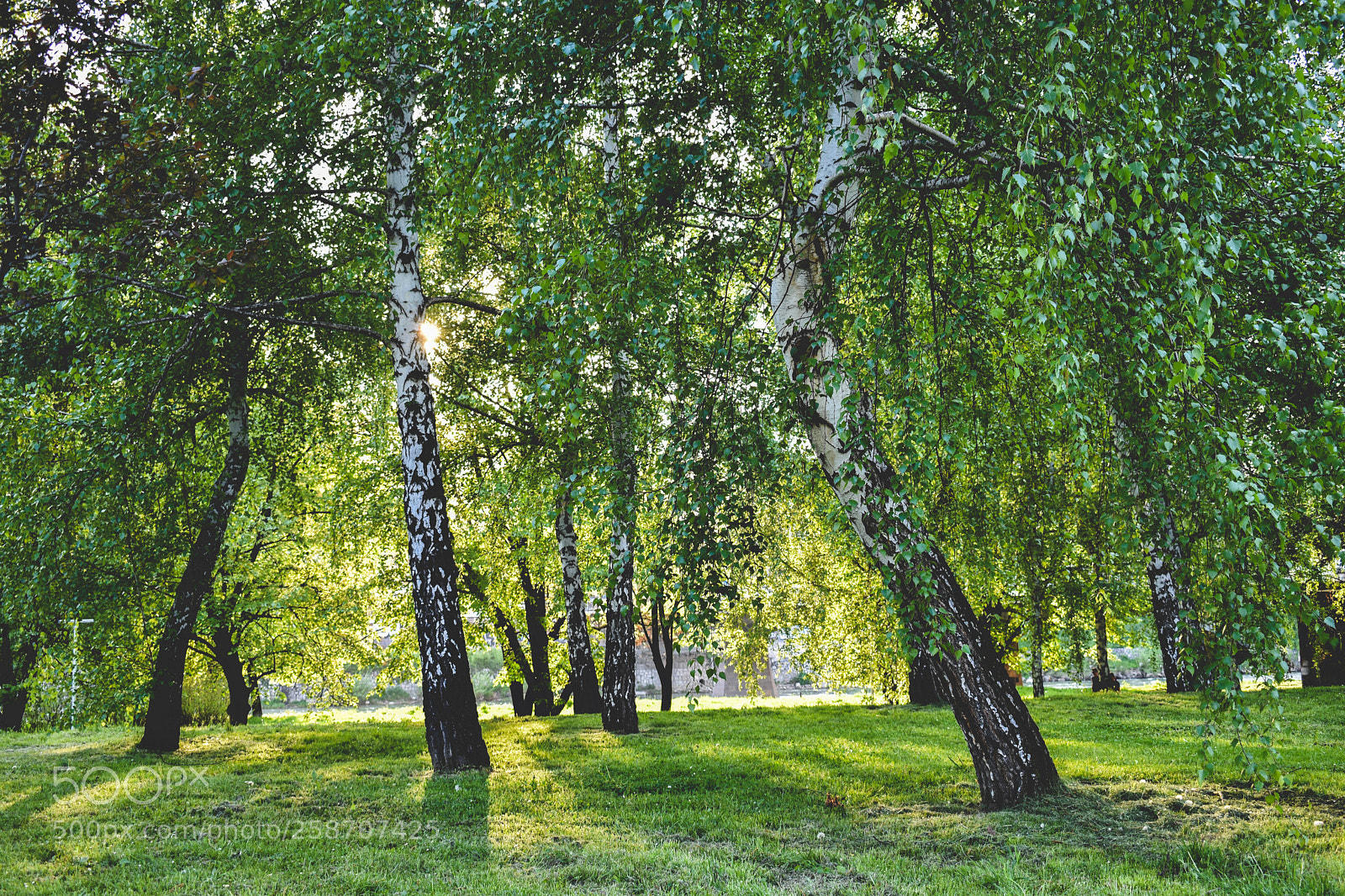 Nikon D3400 sample photo. 20-0047.jpg photography