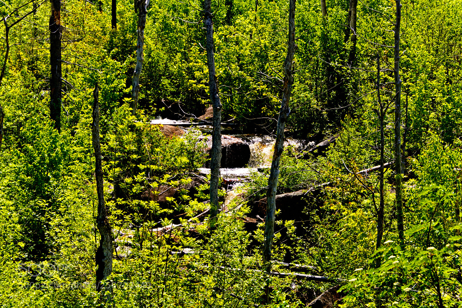 Nikon D7100 sample photo. Northern minnesota landscape photography