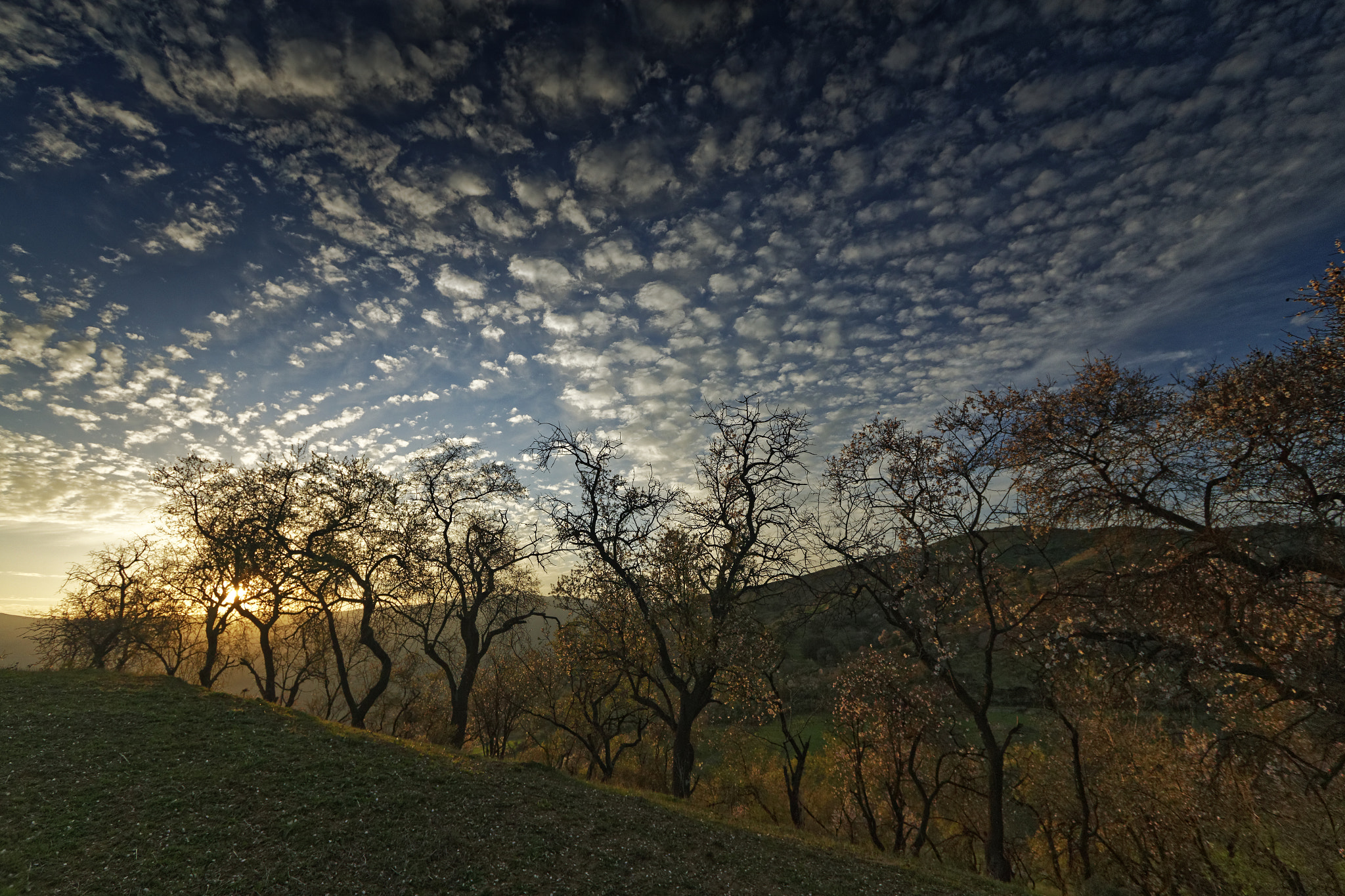 Canon EF-S 10-22mm F3.5-4.5 USM sample photo. Shy sunset spring light photography