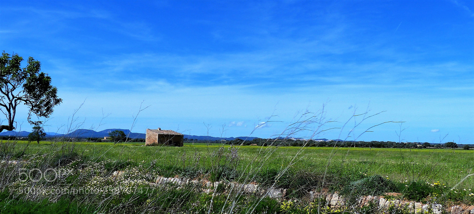 Panasonic Lumix DMC-FZ150 sample photo. Beautiful mallorca photography