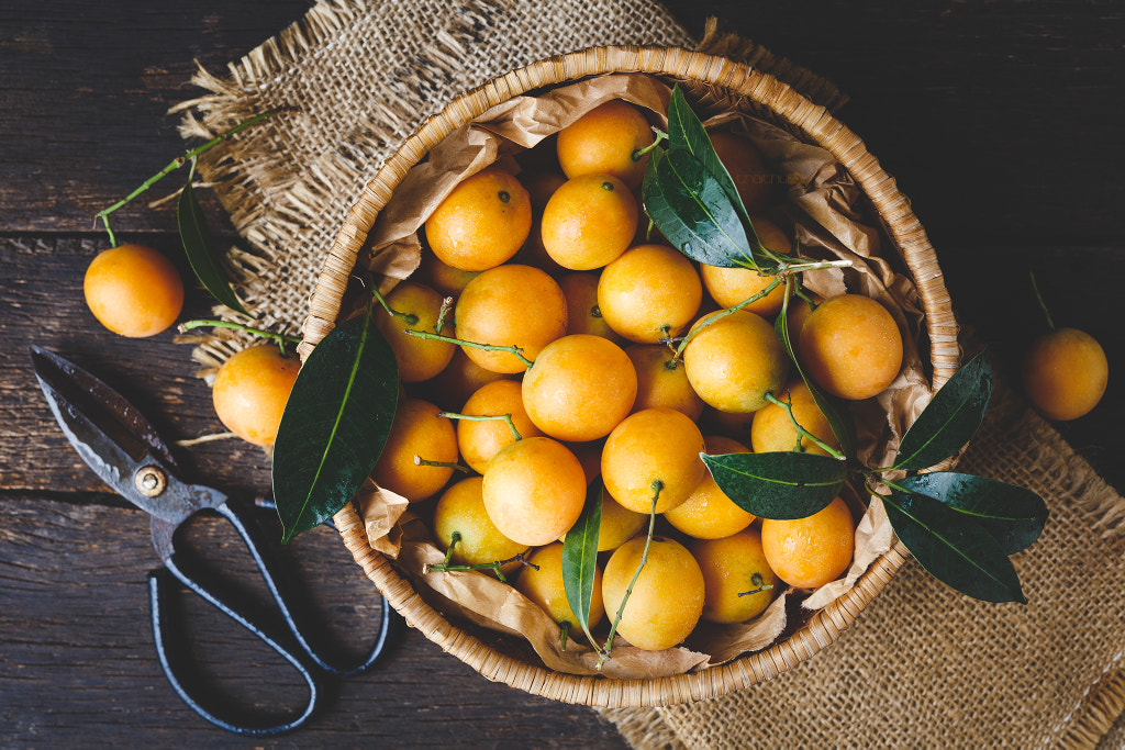 Marian plum fruits on the old wood by Thai Thu on 500px.com