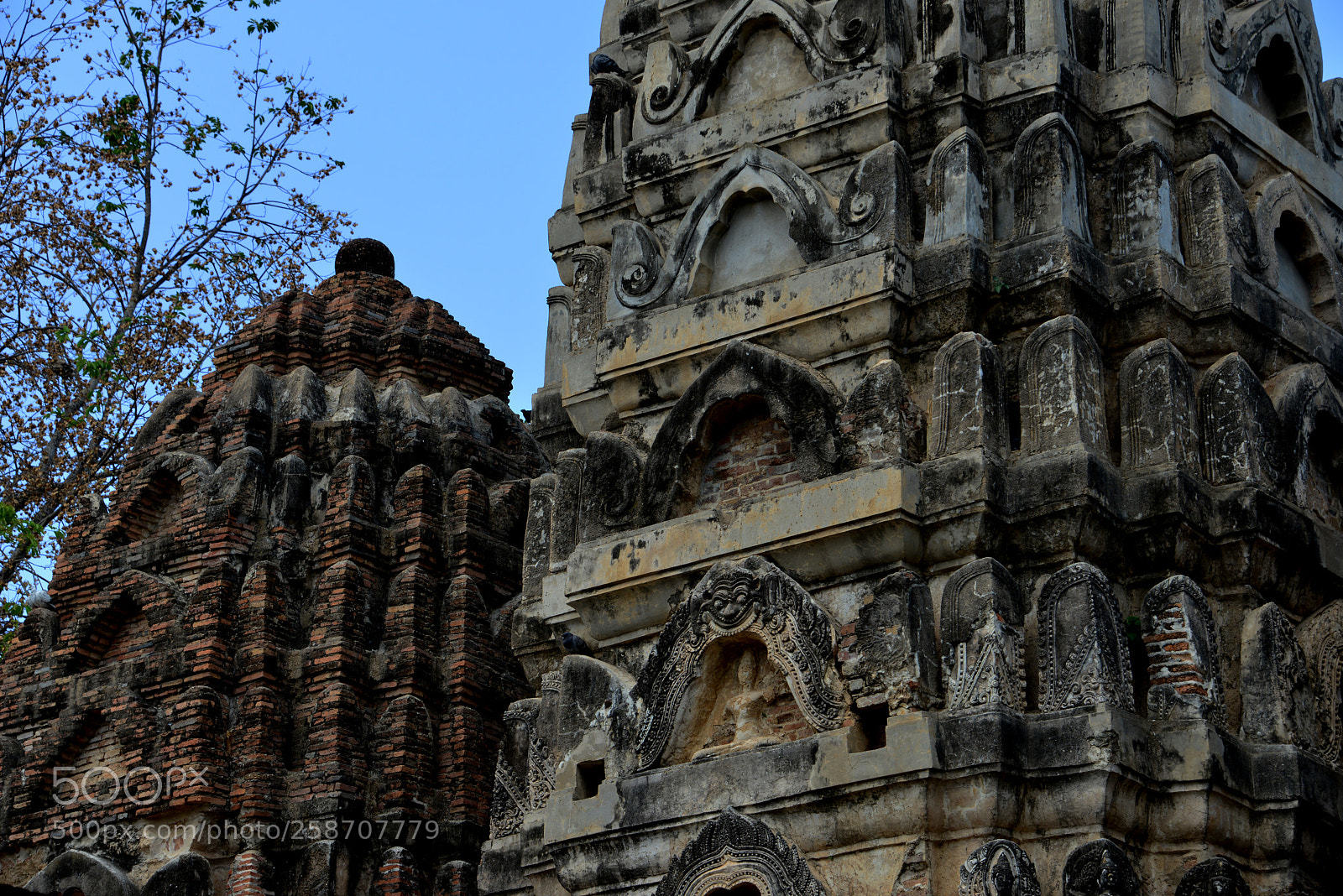 Nikon D800 sample photo. Detail of the wat photography