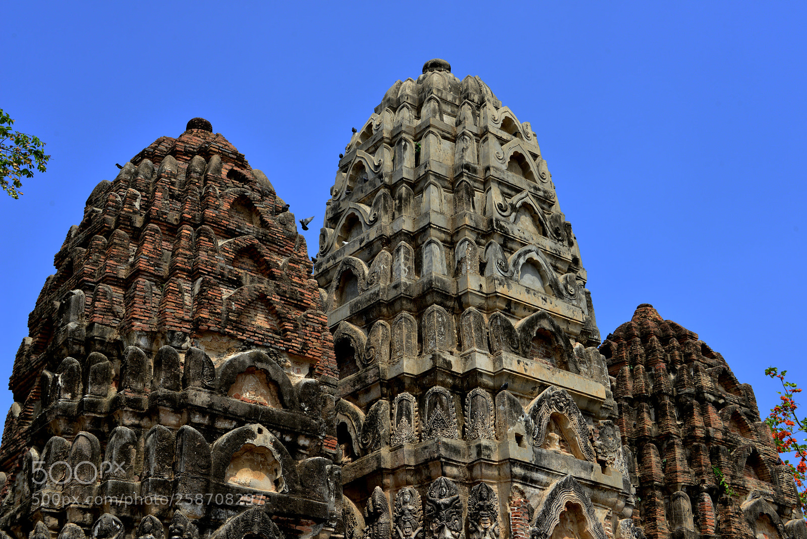 Nikon D800 sample photo. Detail of the wat photography