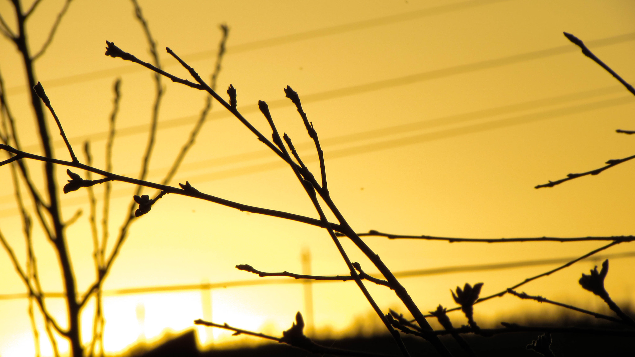 Canon PowerShot SX510 HS sample photo. Img photography