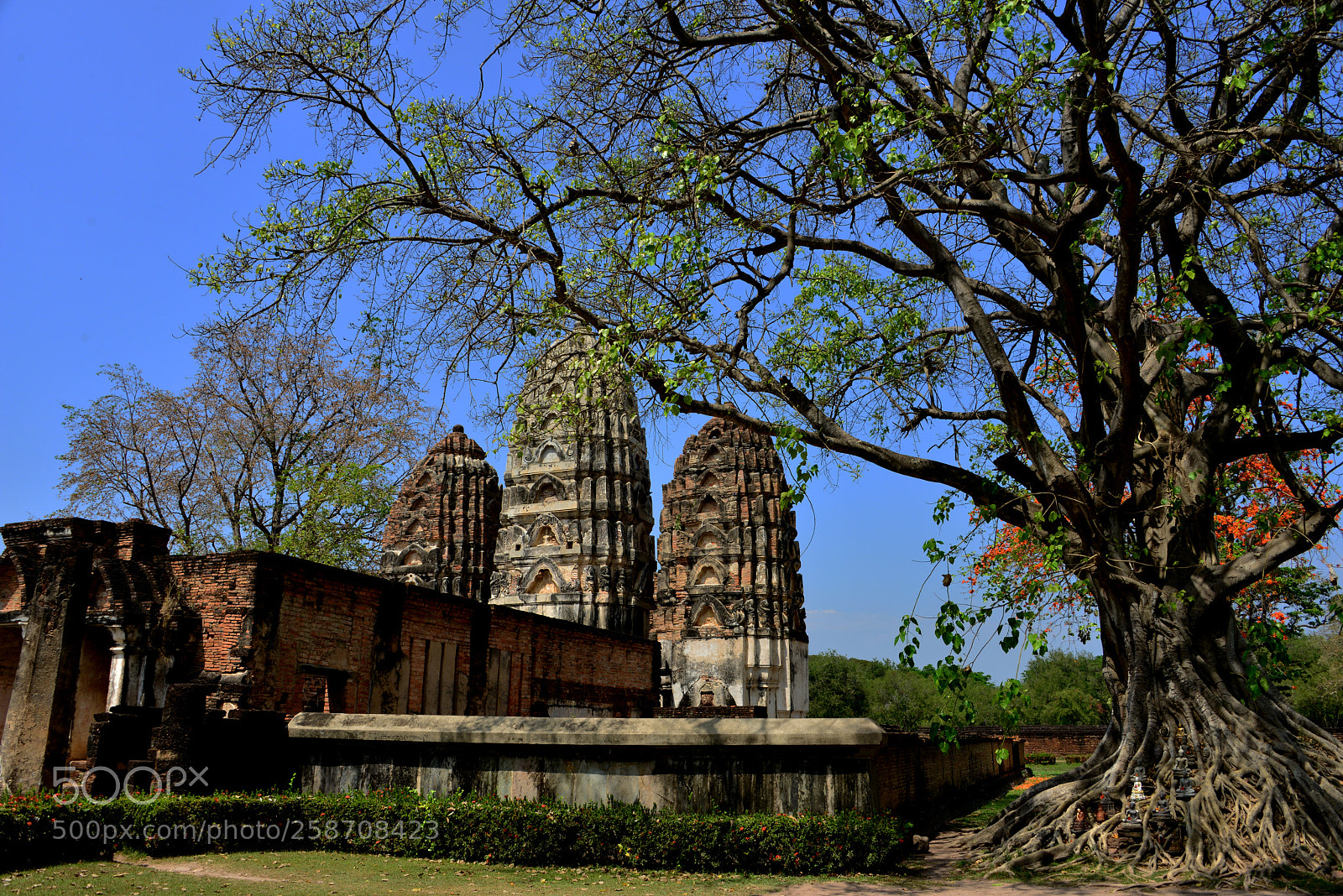 Nikon D800 sample photo. Wat sawai in sukothai photography