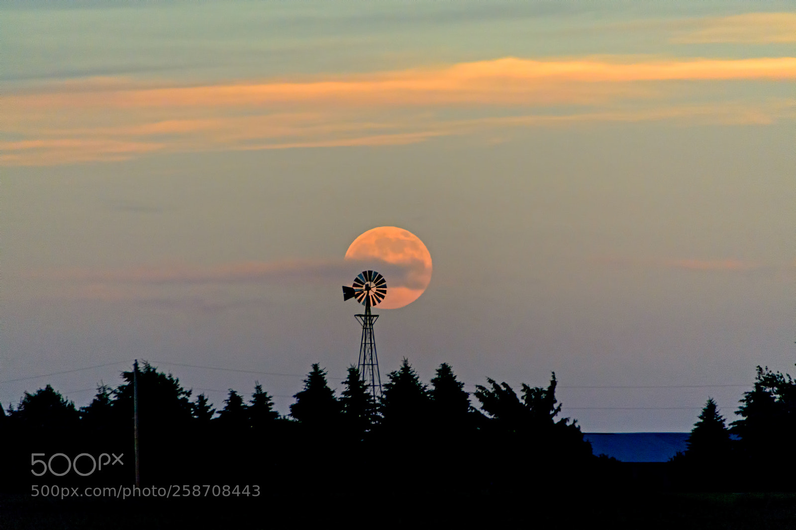 Nikon D7100 sample photo. Full moon rising photography
