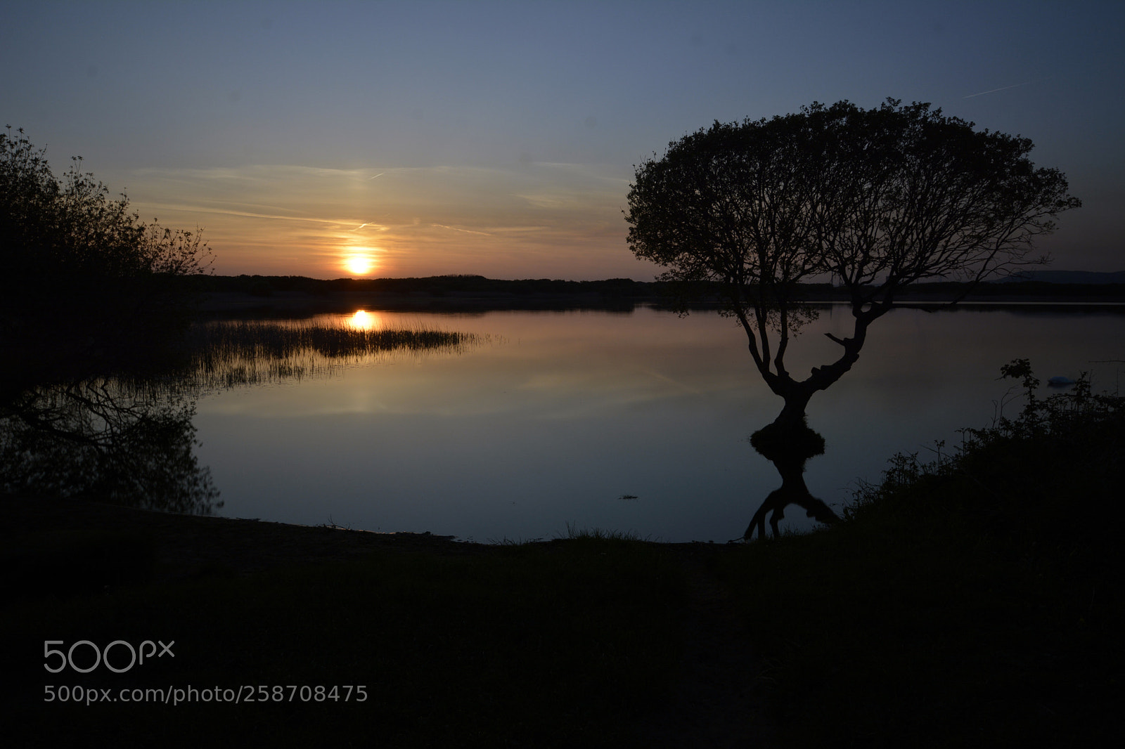 Nikon D7100 sample photo. Lone tree kenfig pool photography