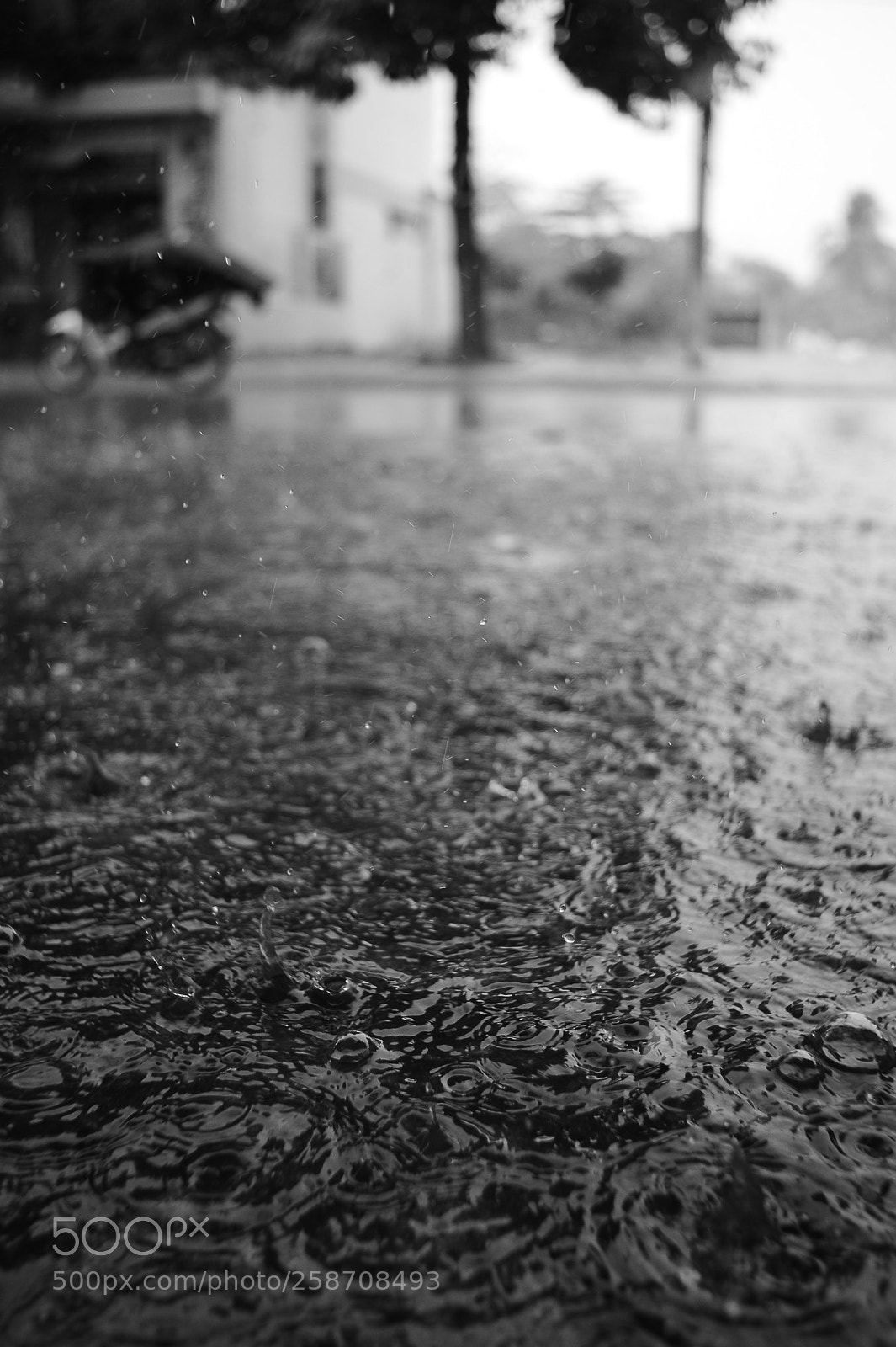 Nikon Df sample photo. Untitled photography