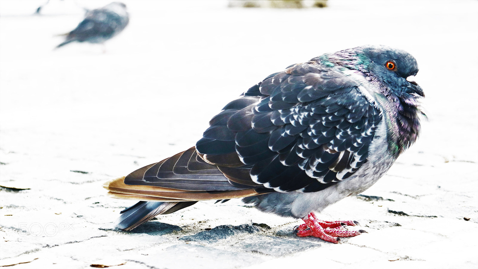 Canon EOS M3 sample photo. The look of love . photography