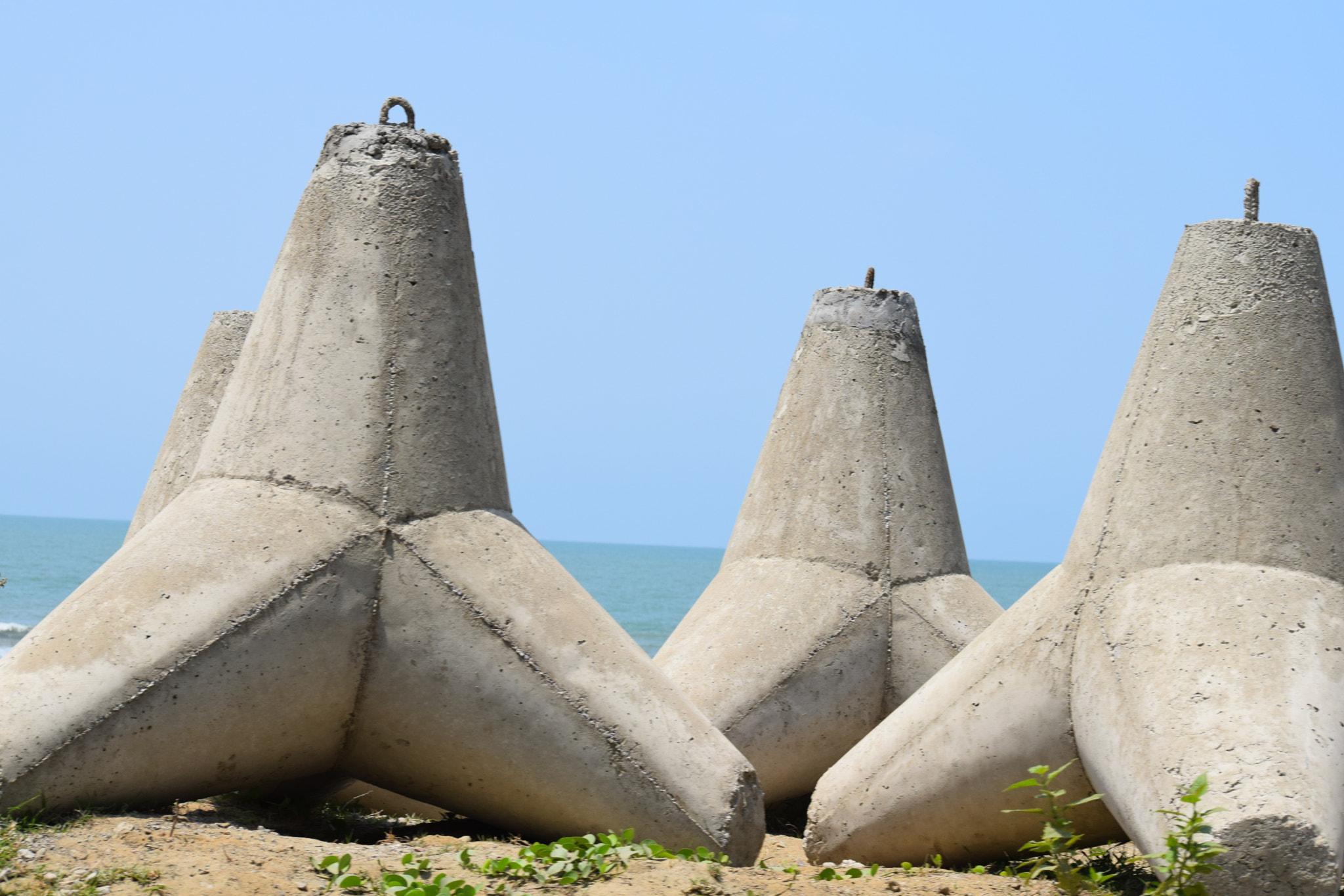 Nikon D5300 sample photo. Dsc photography