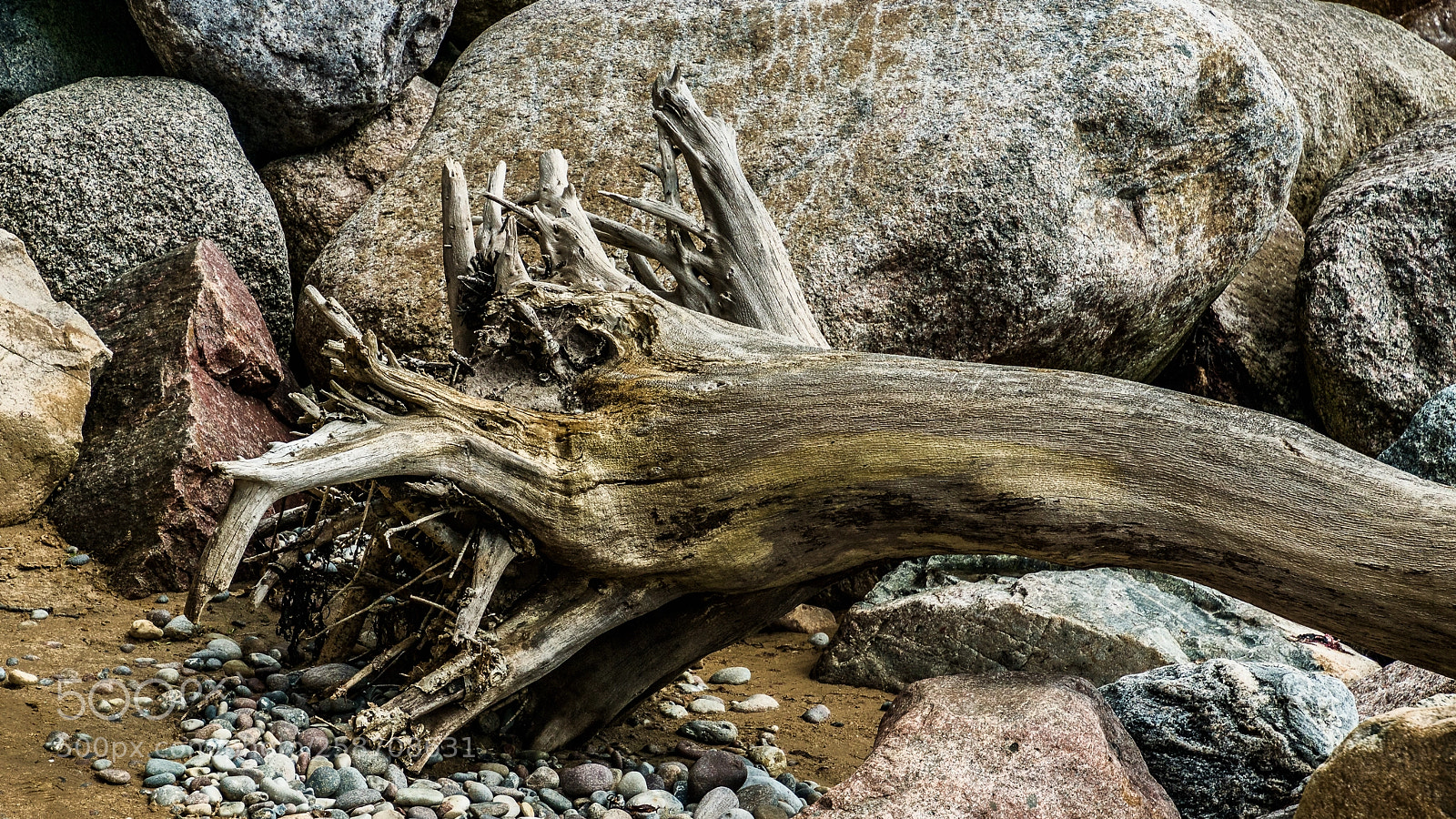 Sony ILCA-77M2 sample photo. Flushed to the beach photography