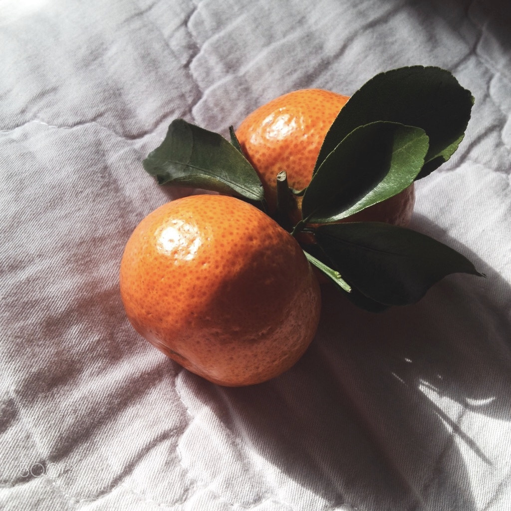 Apple iPhone 4S sample photo. Untitled photography
