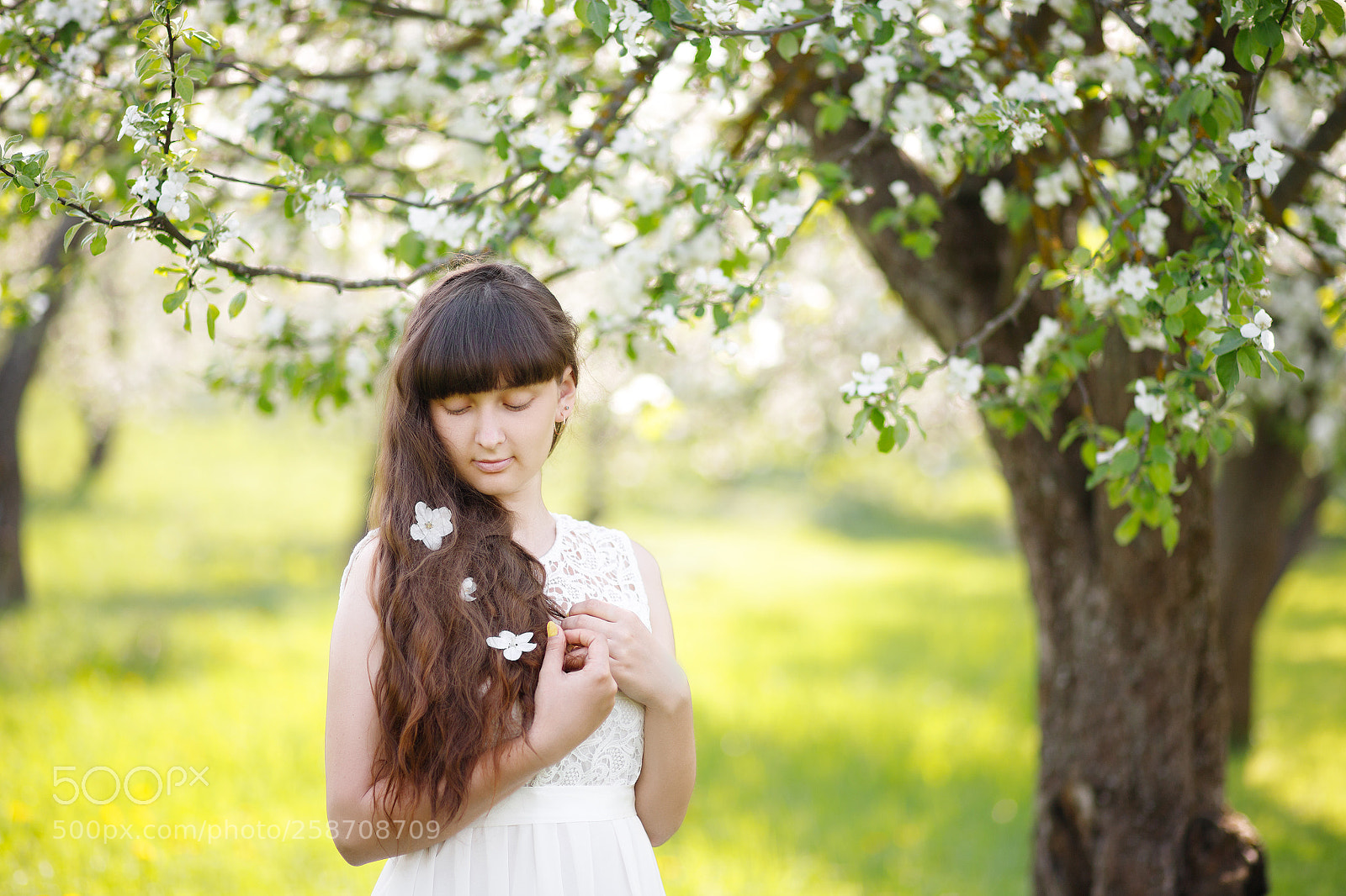 Canon EOS 6D Mark II sample photo. Сады photography