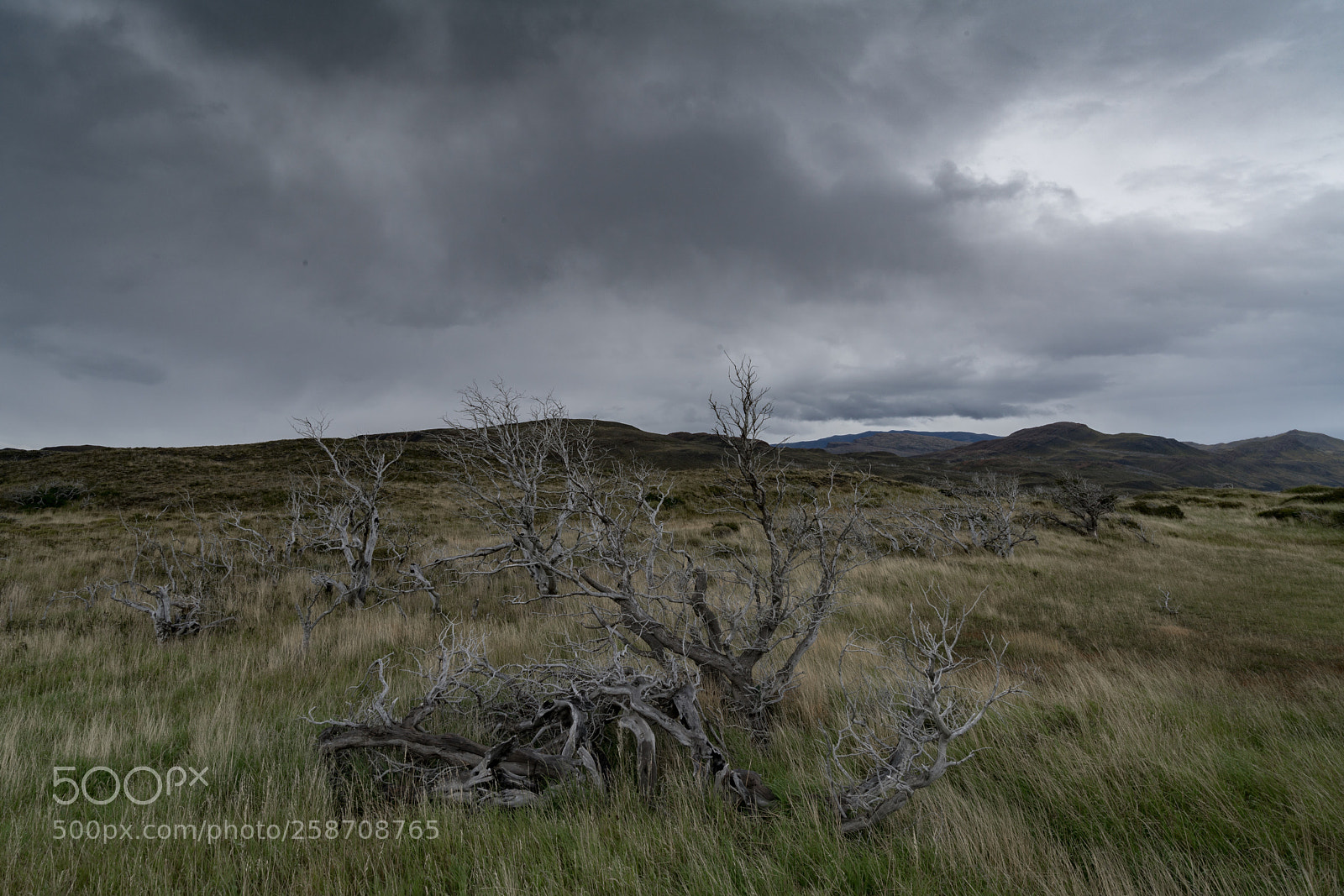Sony a7R II sample photo. Torres del paine photography