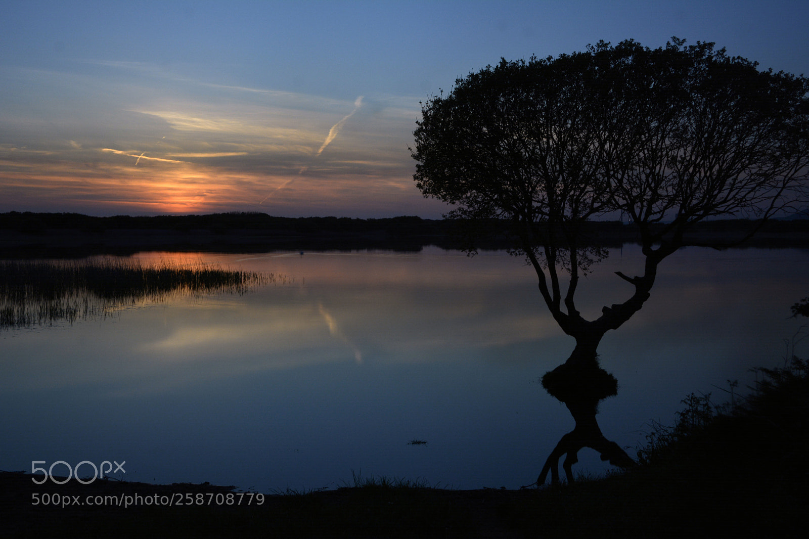 Nikon D7100 sample photo. Lone tree kenfig pool photography