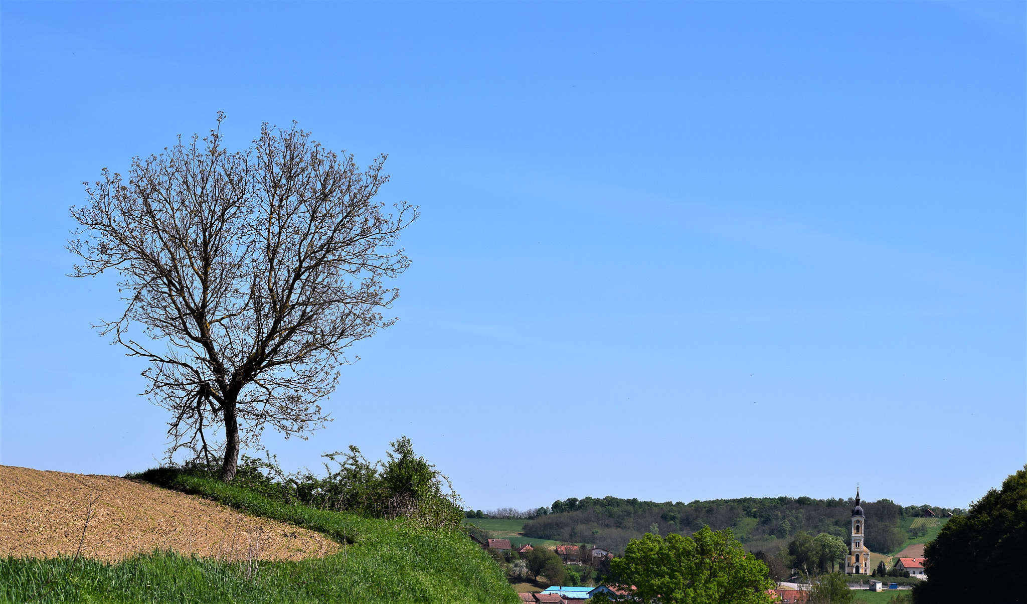 Nikon D3300 sample photo. Šandrovac photography