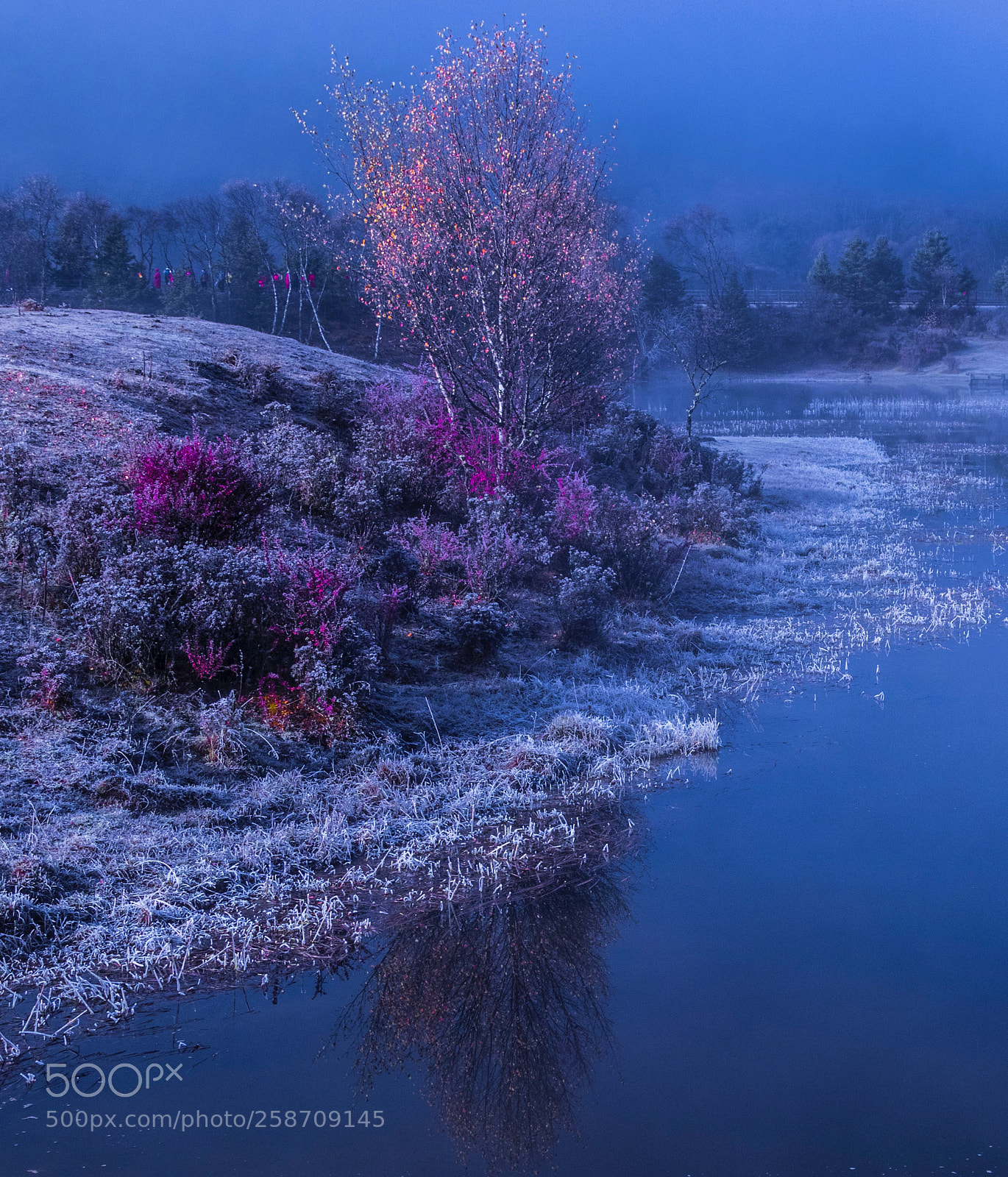 Canon EOS 80D sample photo. Untitled photography
