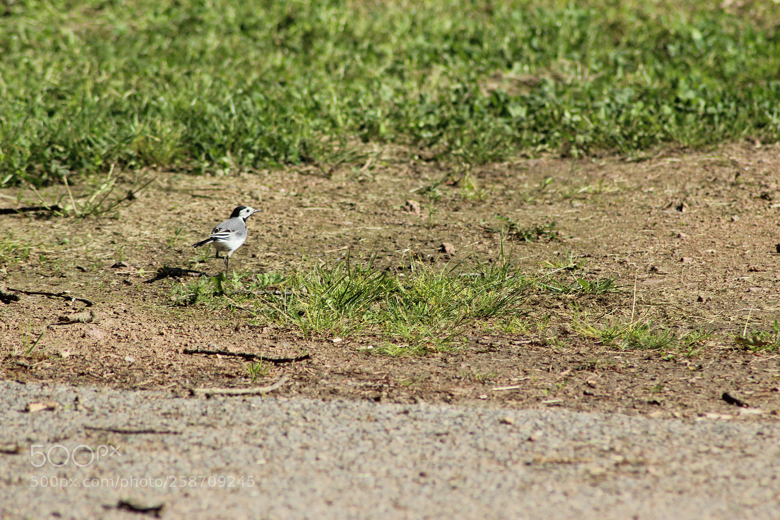 Canon EOS 1200D (EOS Rebel T5 / EOS Kiss X70 / EOS Hi) sample photo. Untitled photography