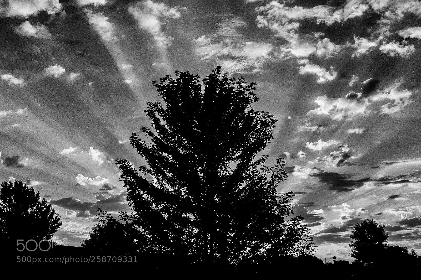 Nikon D7100 sample photo. Sunrise landscape photography