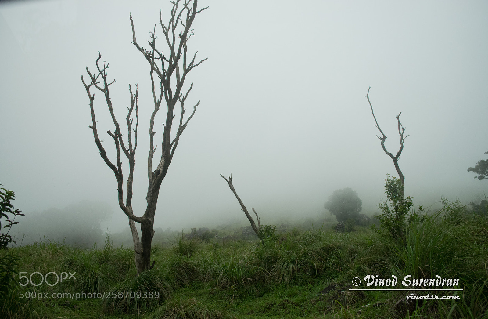 Nikon D5300 sample photo. Winter morning photography
