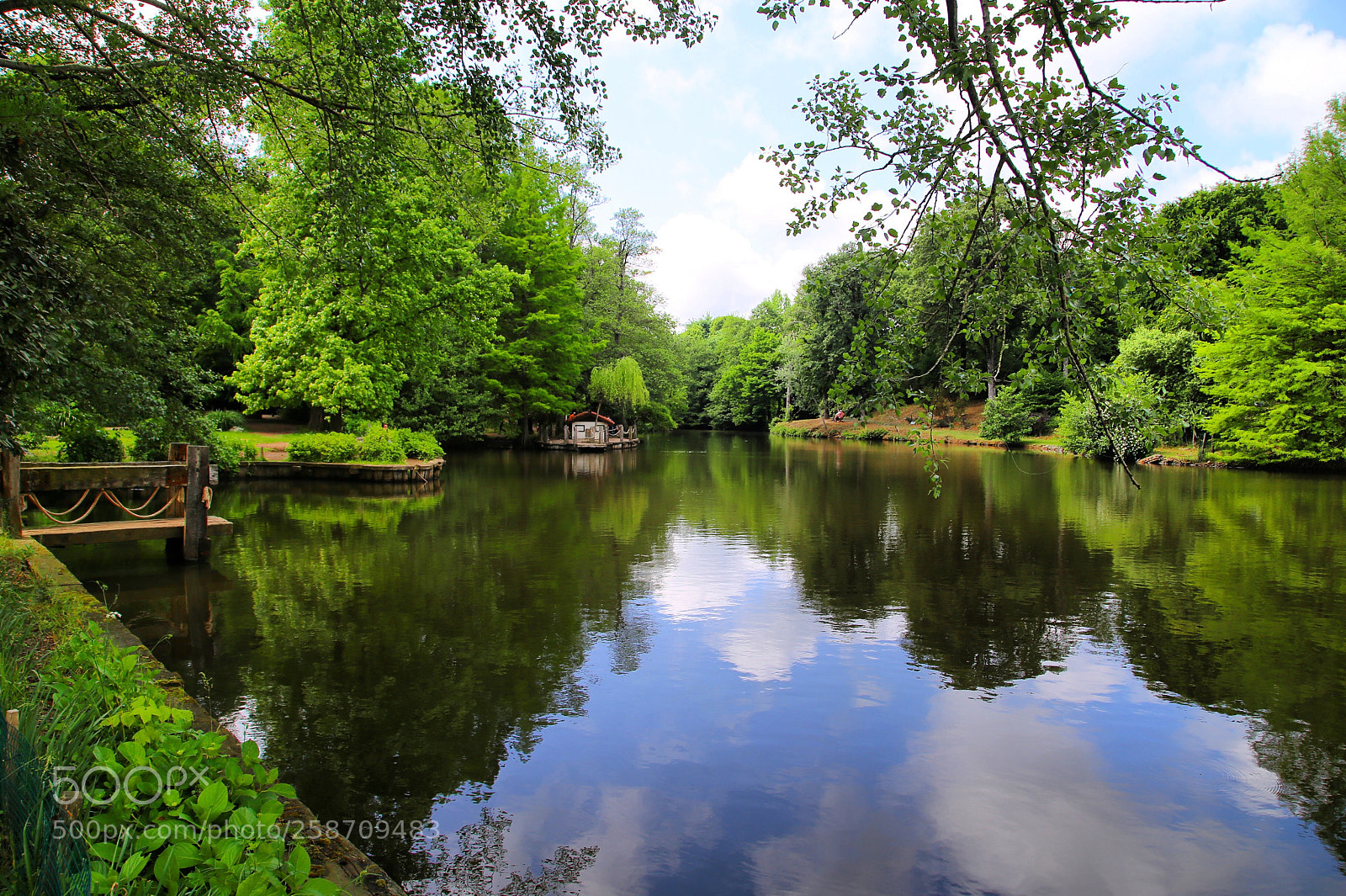 Canon EOS 6D sample photo. Untitled photography