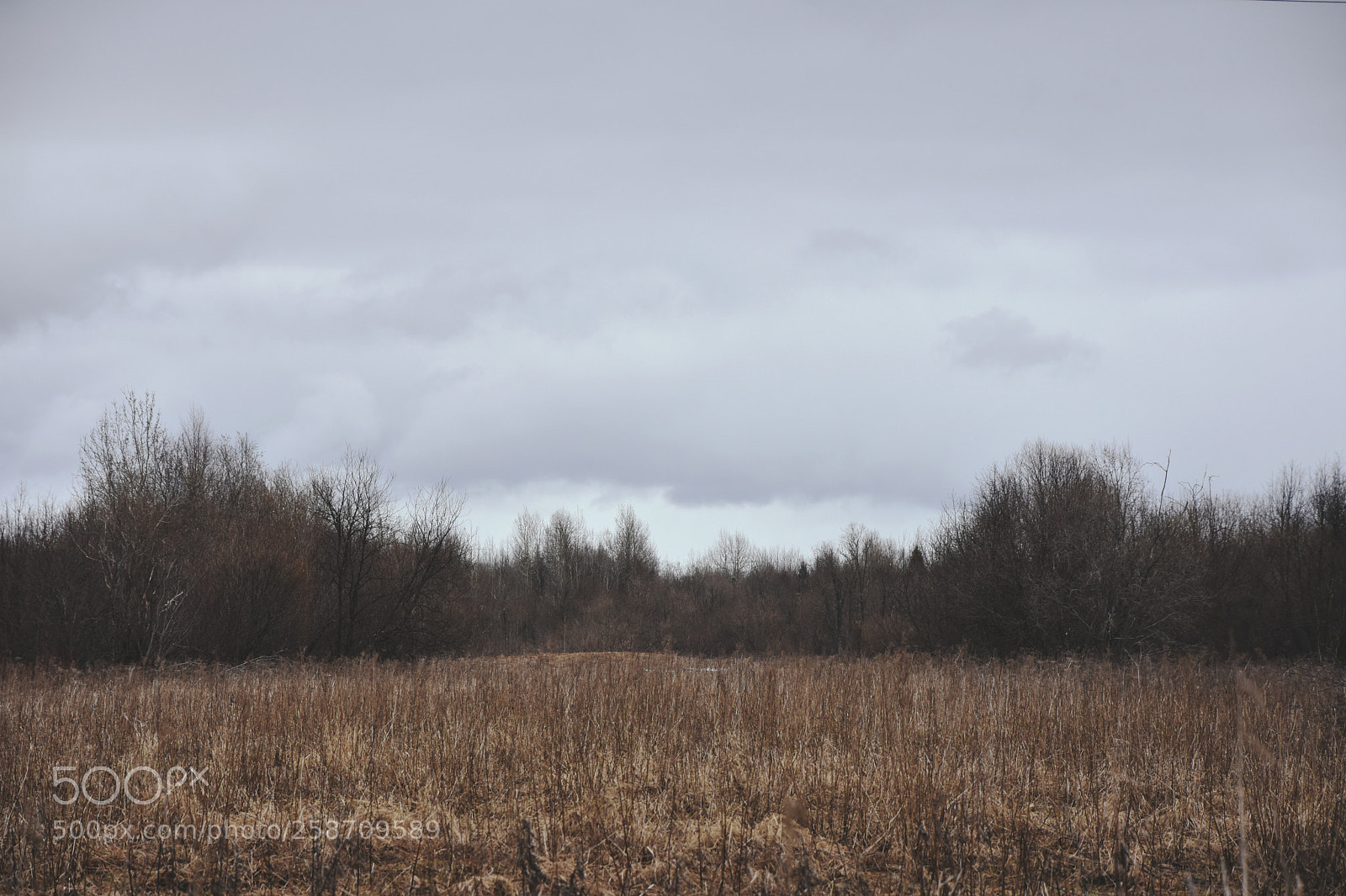 Nikon D7200 sample photo. Other lives photography