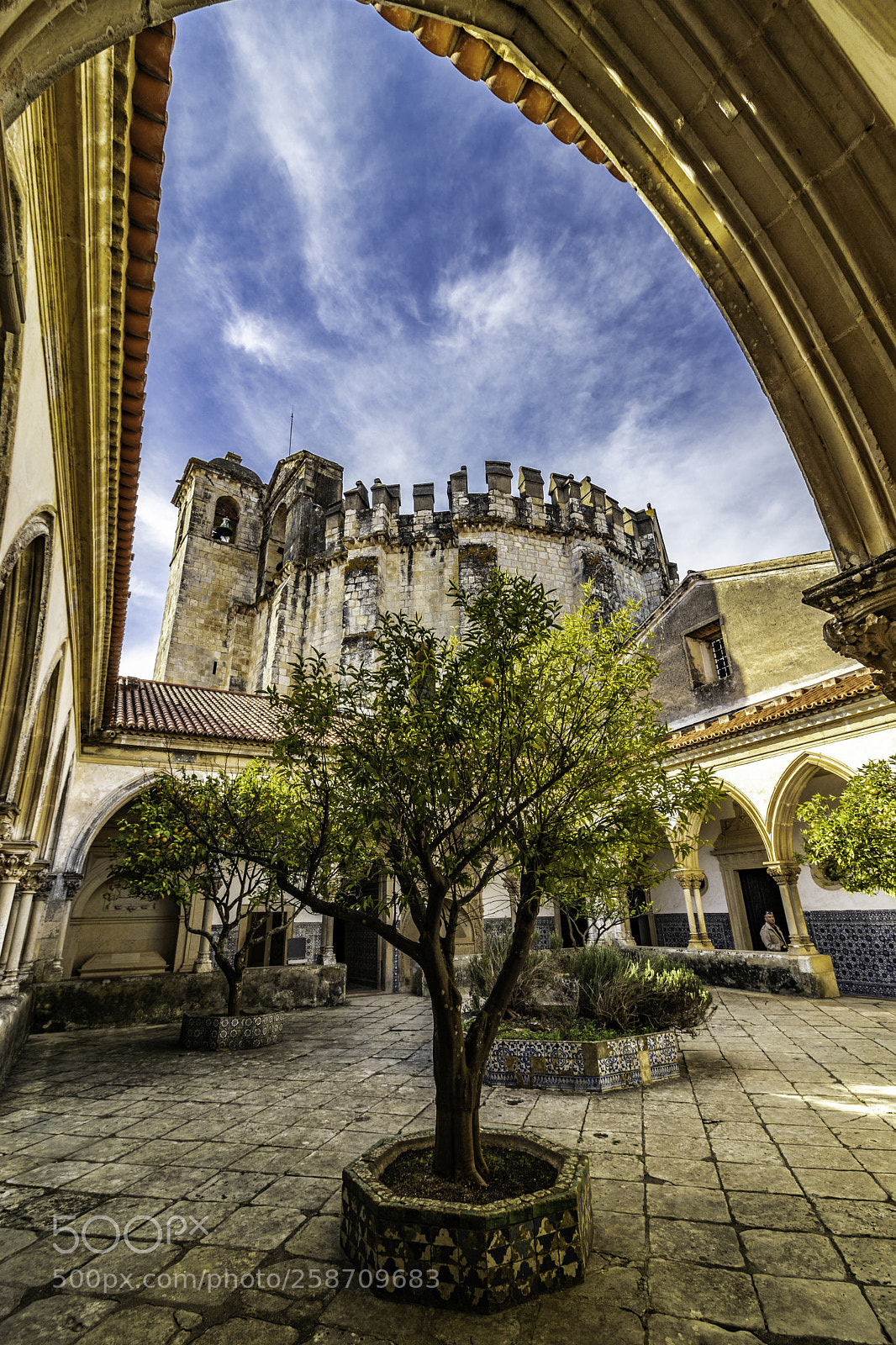 Canon EOS 80D sample photo. Templars castle photography