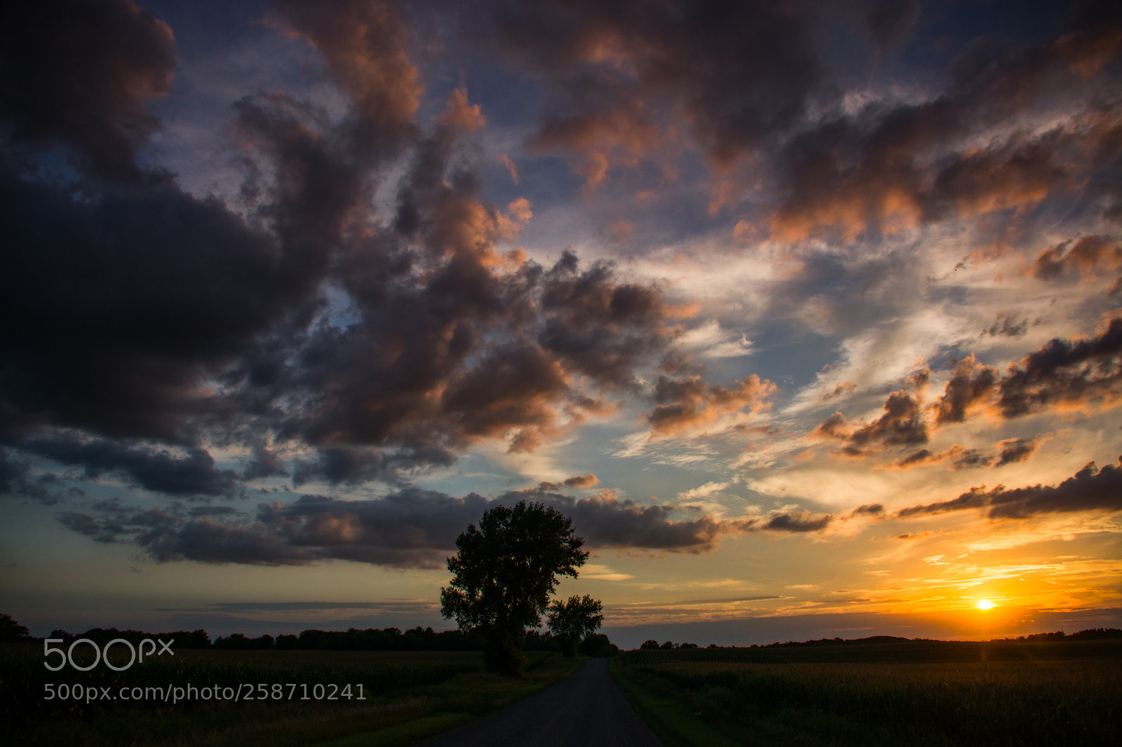Nikon D7100 sample photo. Country road sunset photography