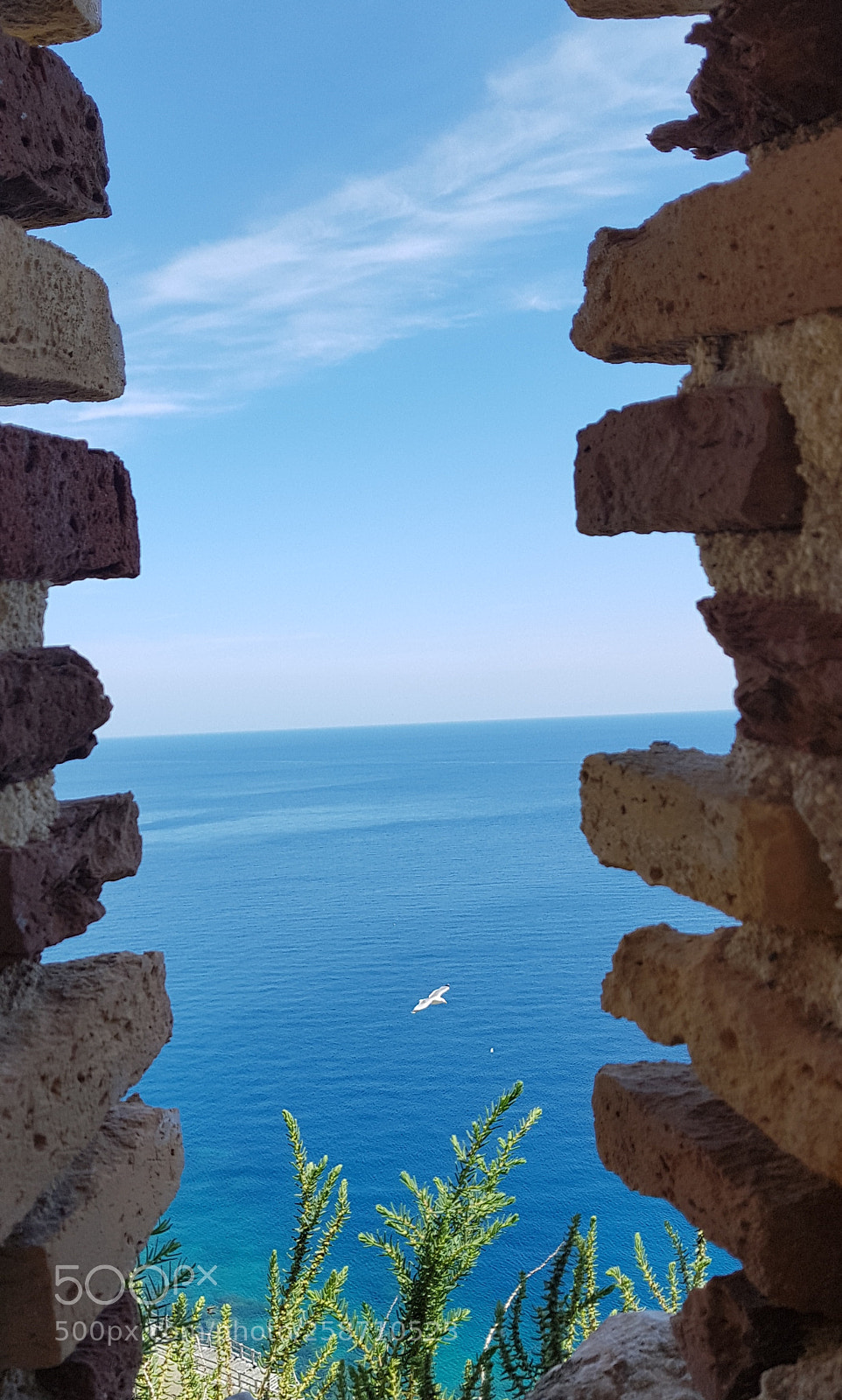 Samsung Galaxy S7 sample photo. La felicit un pensiero photography