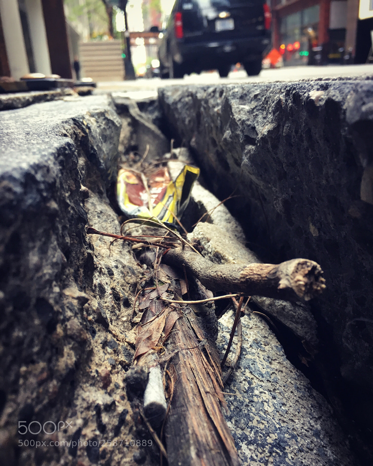 Apple iPhone 6s sample photo. Untitled photography