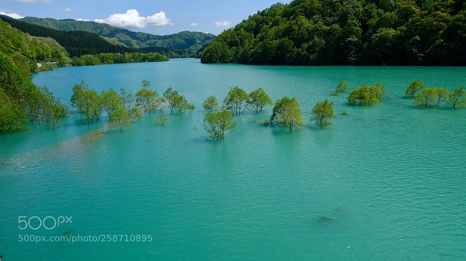 Sony Cyber-shot DSC-RX100 IV sample photo. A lake with trees photography