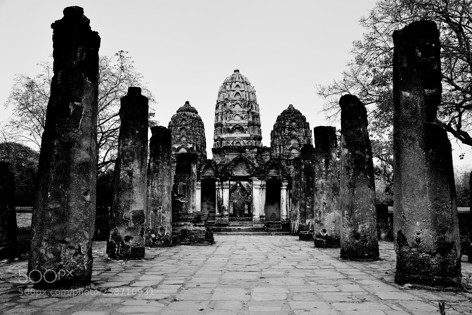 Nikon D800 sample photo. Wat sawai in black photography