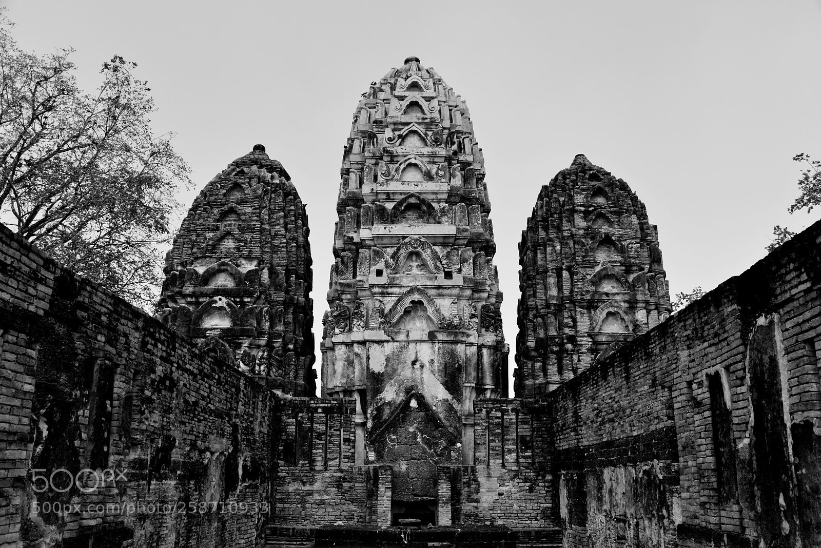Nikon D800 sample photo. Wat sawai in black photography