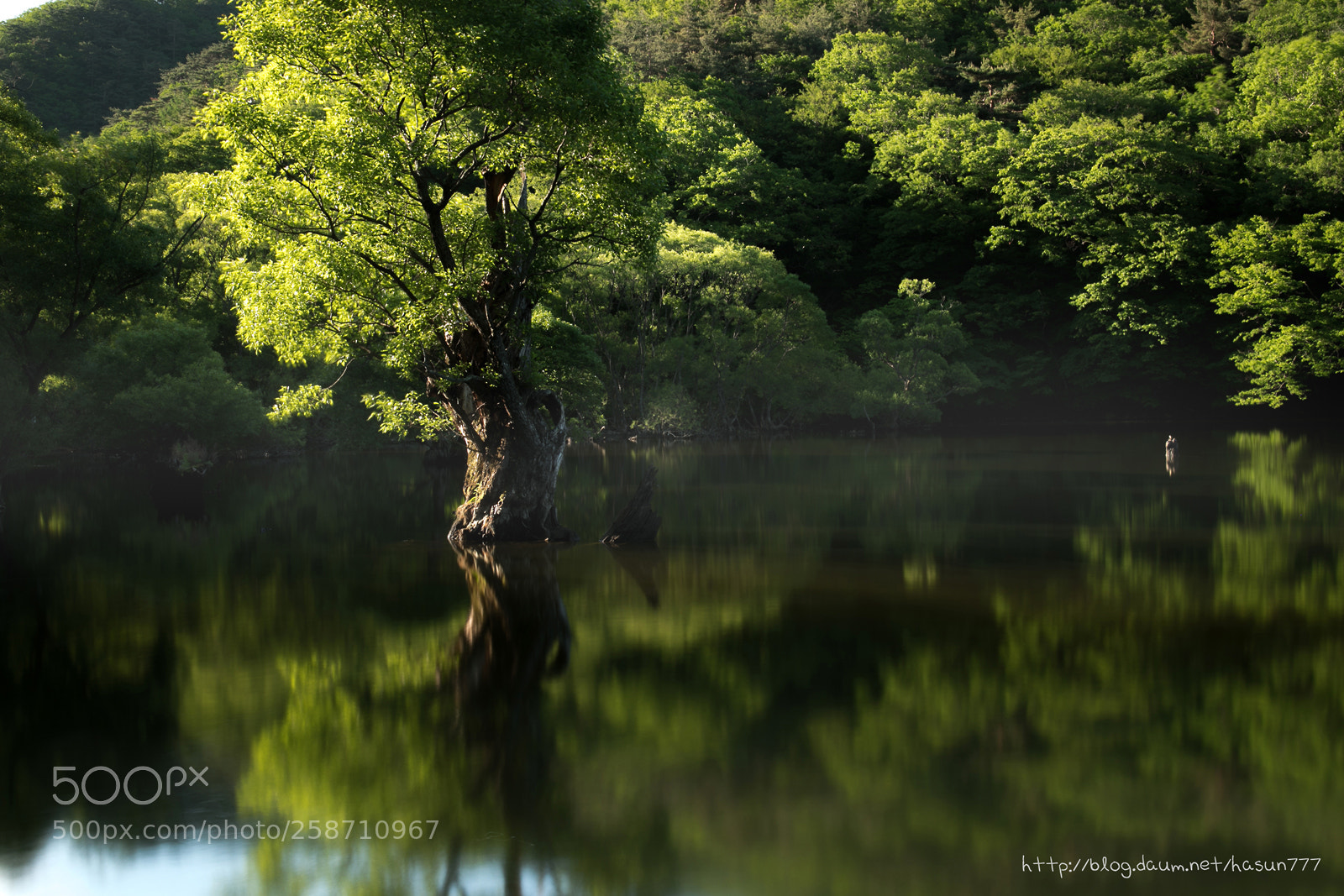 Canon EOS 5D Mark IV sample photo. Untitled photography