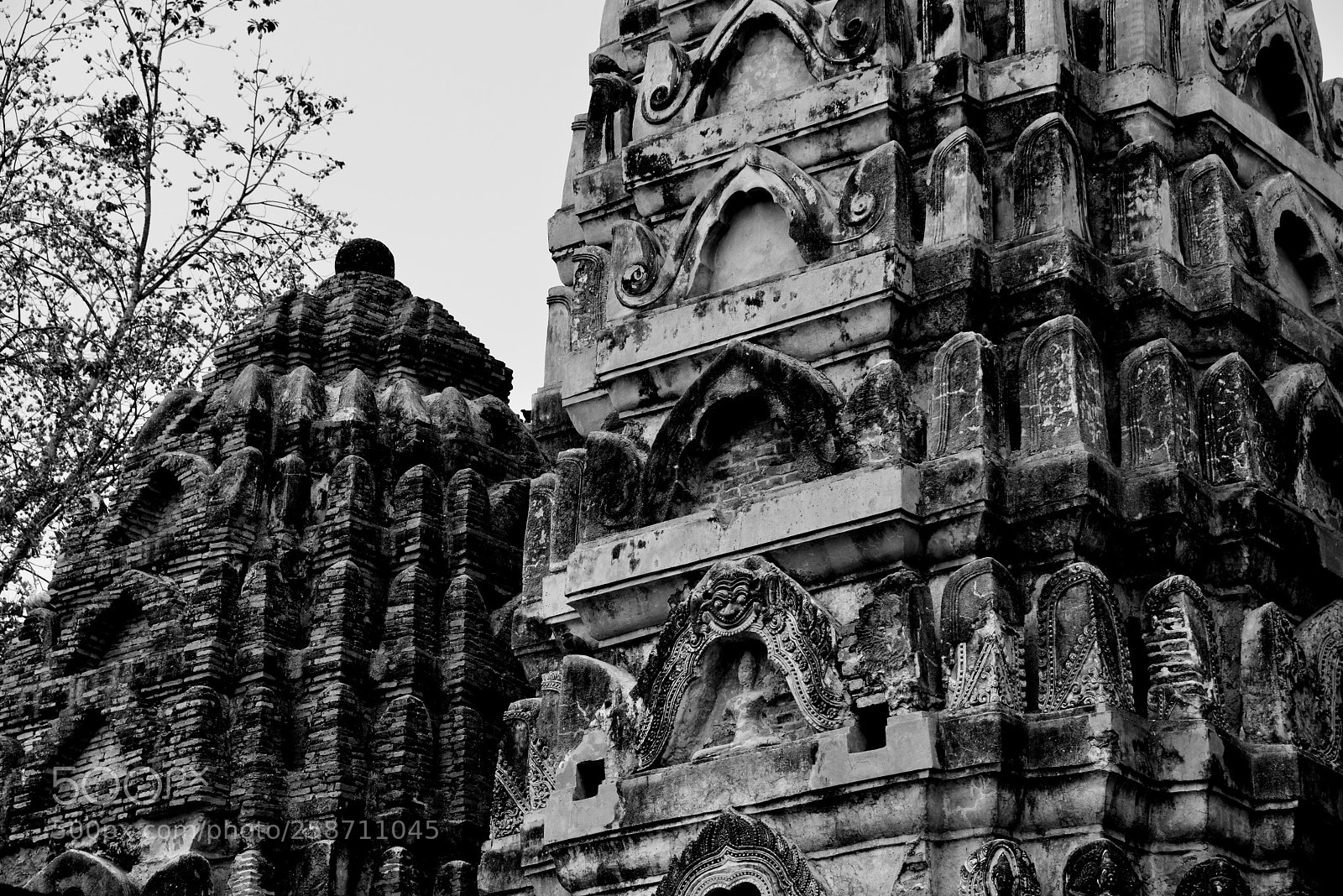 Nikon D800 sample photo. Wat sawai in black photography