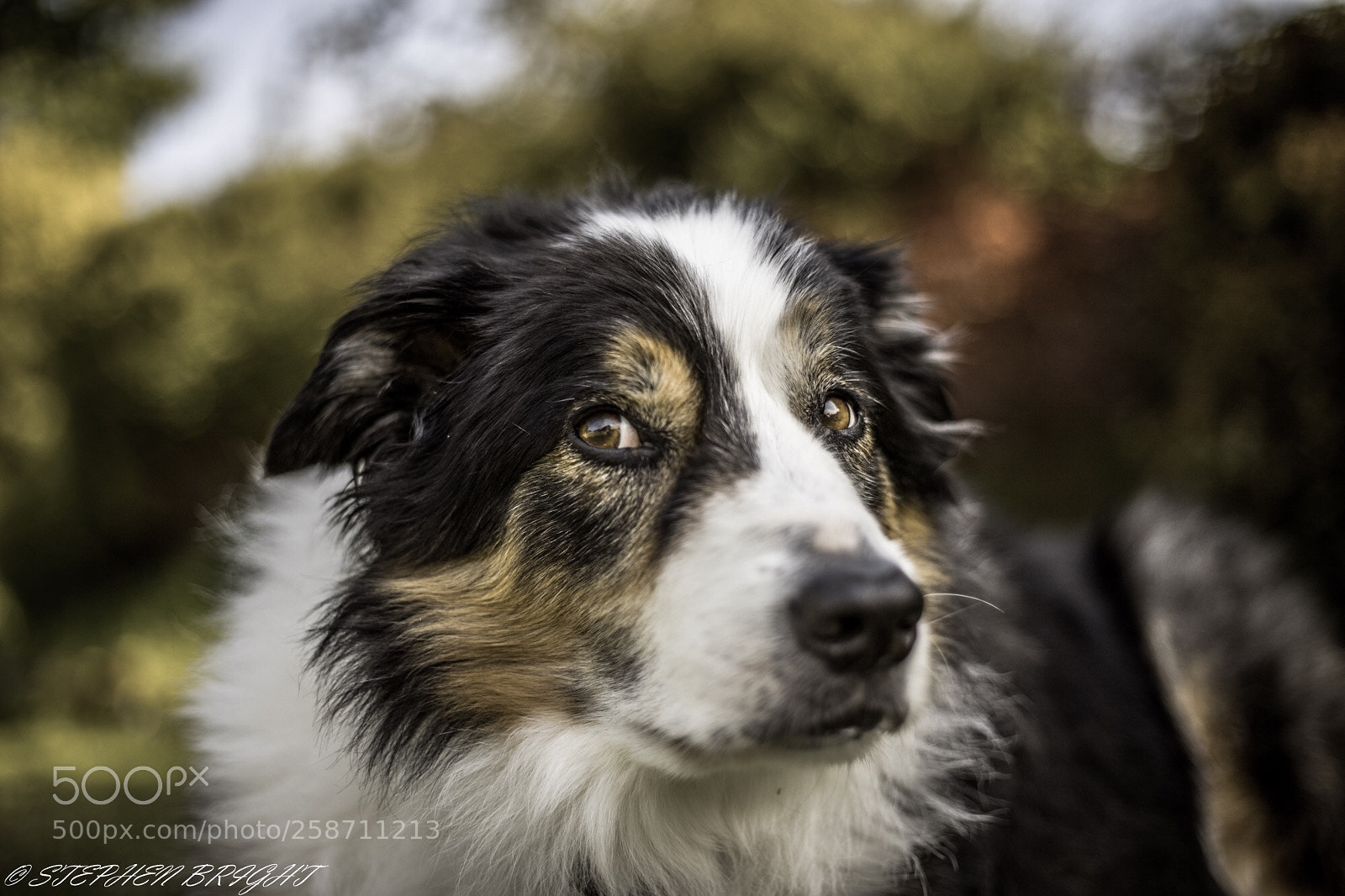 Canon EOS 5D Mark IV sample photo. Beautiful tetley photography
