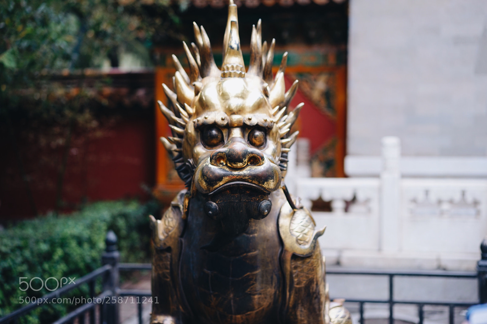 Sony a7 sample photo. Hi photography