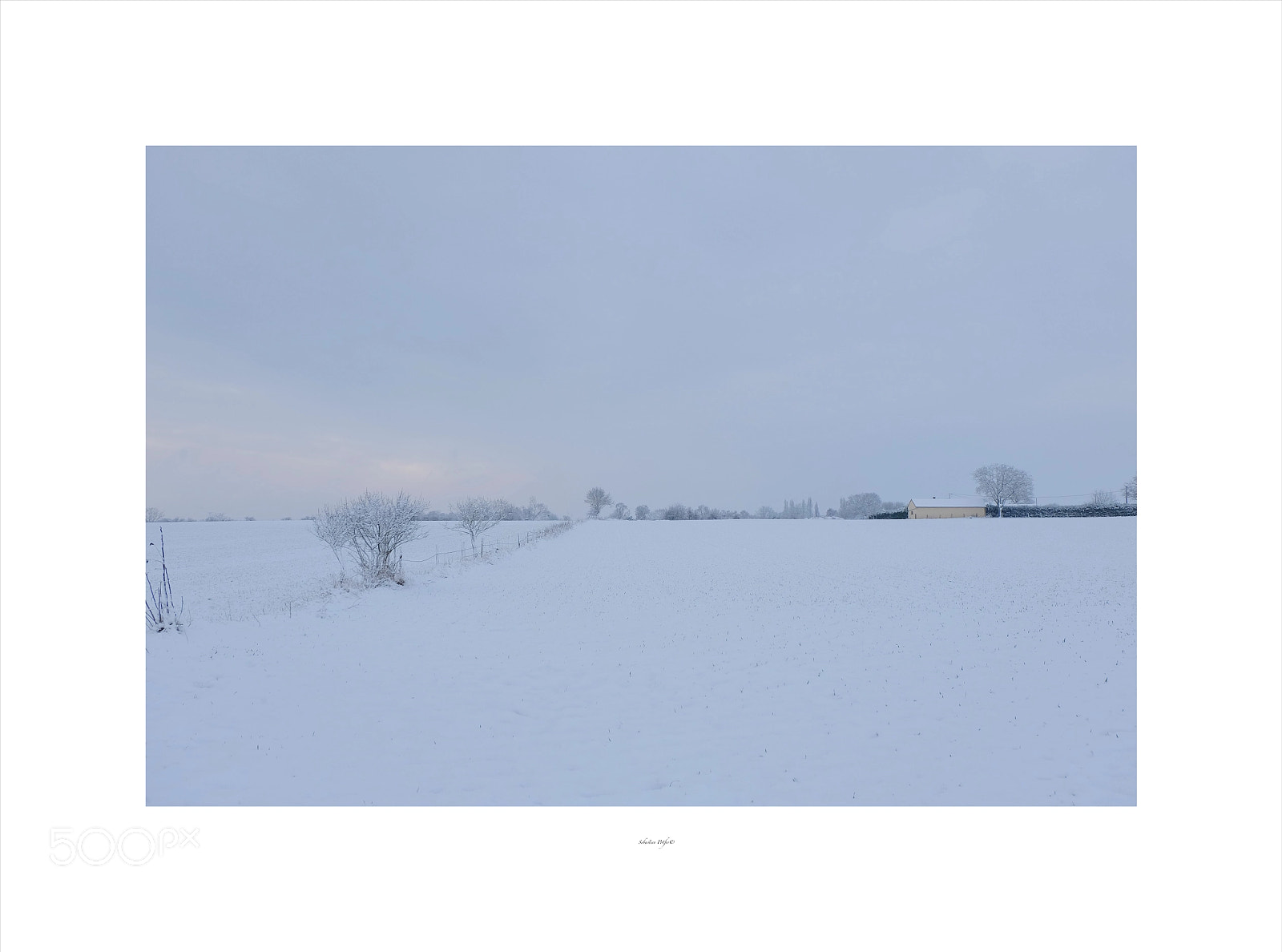 Fujifilm X-M1 sample photo. Snow photography