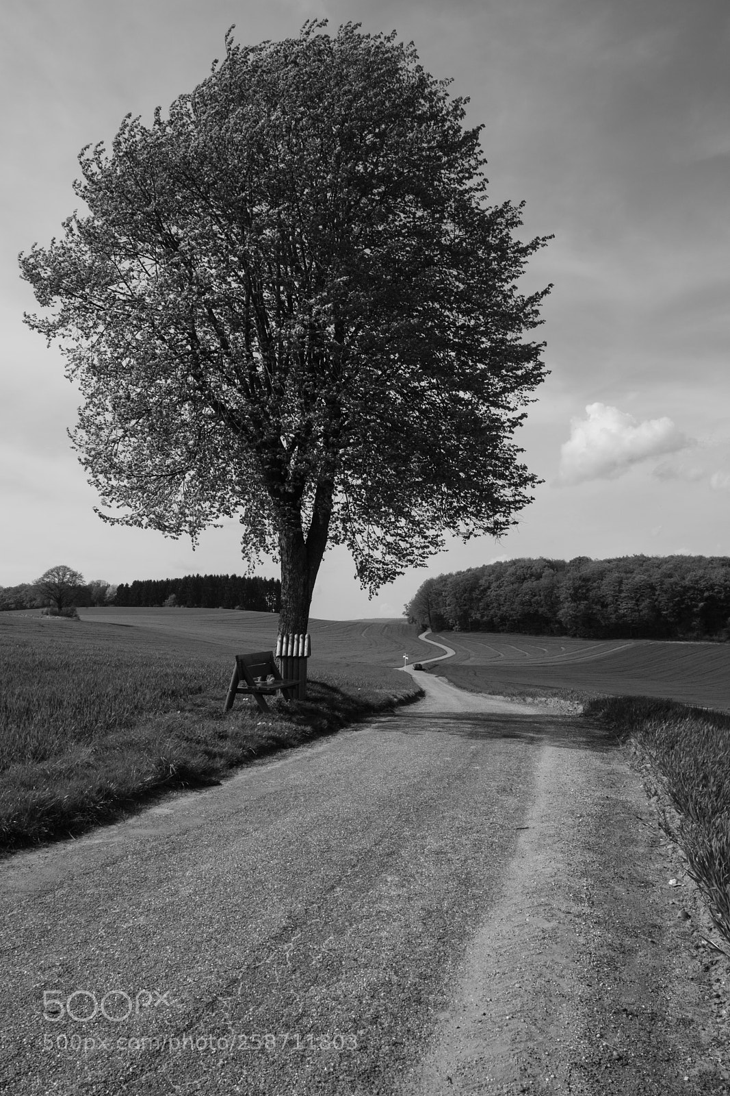 Fujifilm X-E3 sample photo. Life in the slow photography