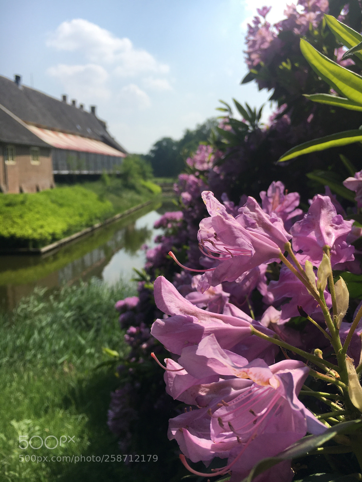 Apple iPhone 6s sample photo. Beautiful springtime  photography