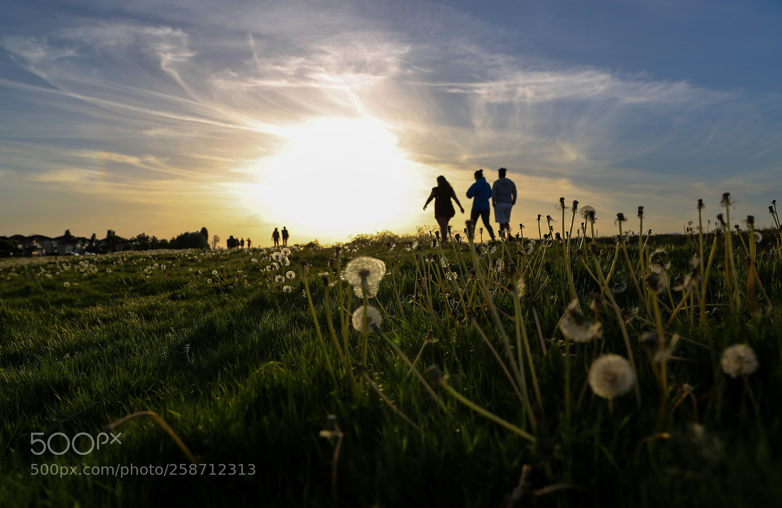 Canon EOS 6D sample photo. Untitled photography