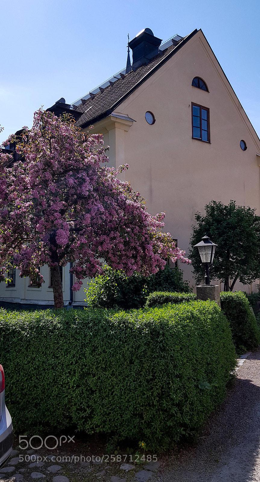 Samsung Galaxy S8 sample photo. A kirchberry tree by photography