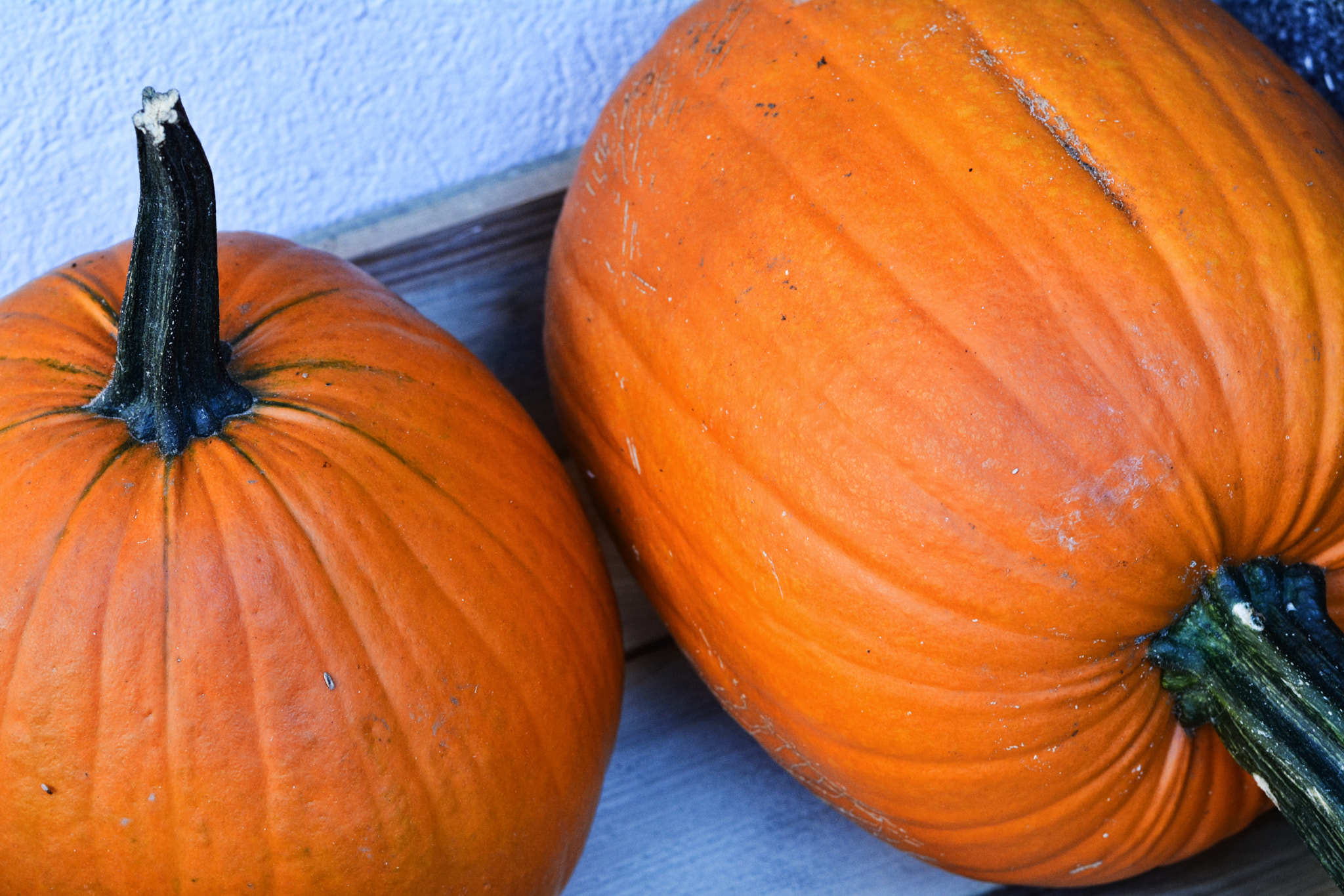 Nikon D7100 + Nikon AF-S Nikkor 50mm F1.8G sample photo. Two pumpkins photography