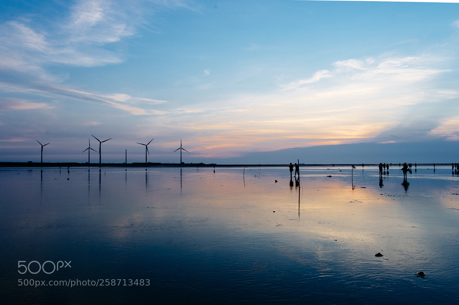Nikon Df sample photo. Taichung county gaomei wetlands photography
