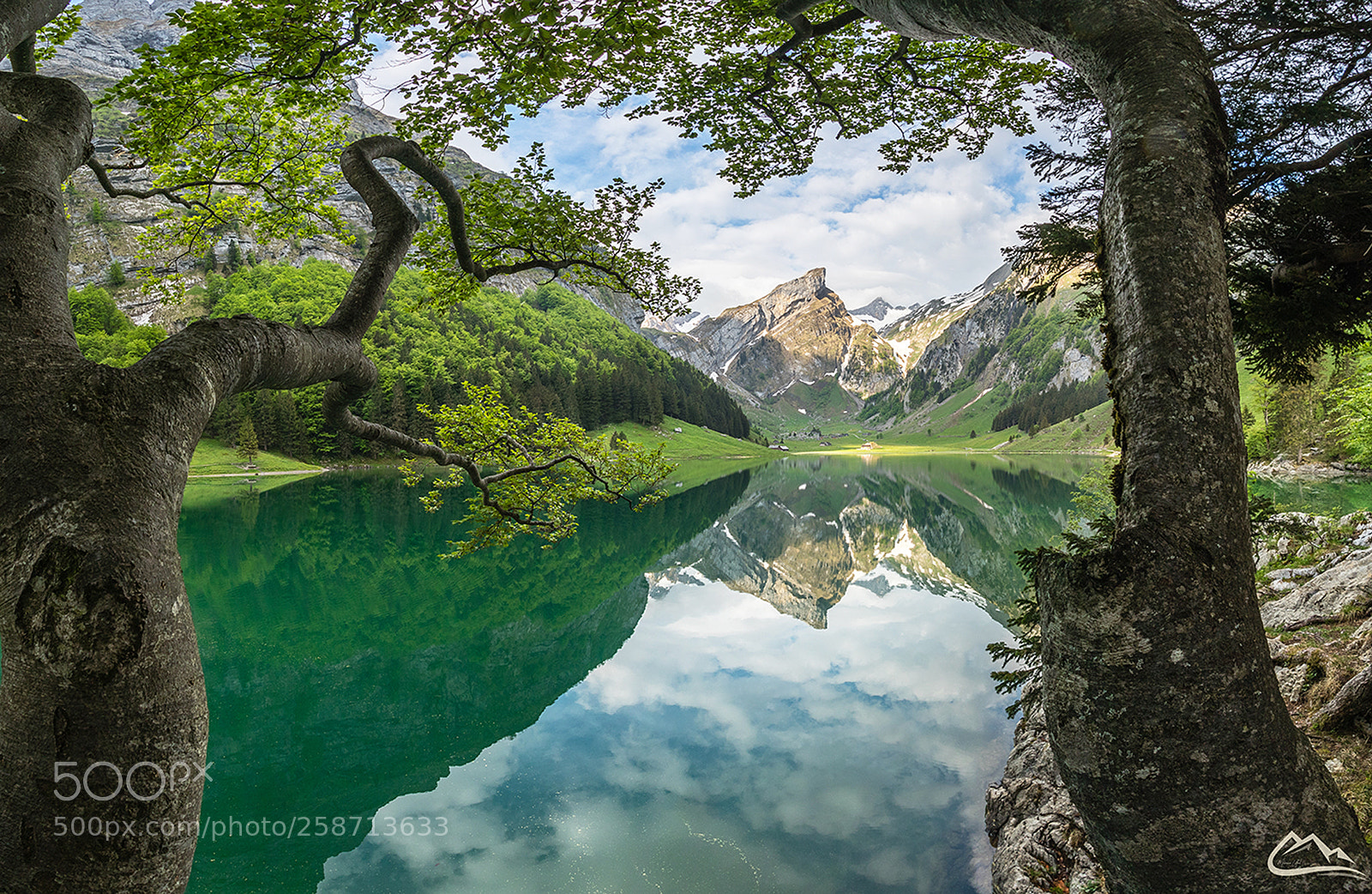 Canon EOS 5D Mark IV sample photo. Seealpsee photography