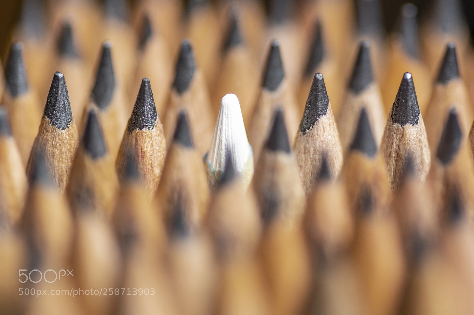 Nikon D7100 sample photo. Pencils photography